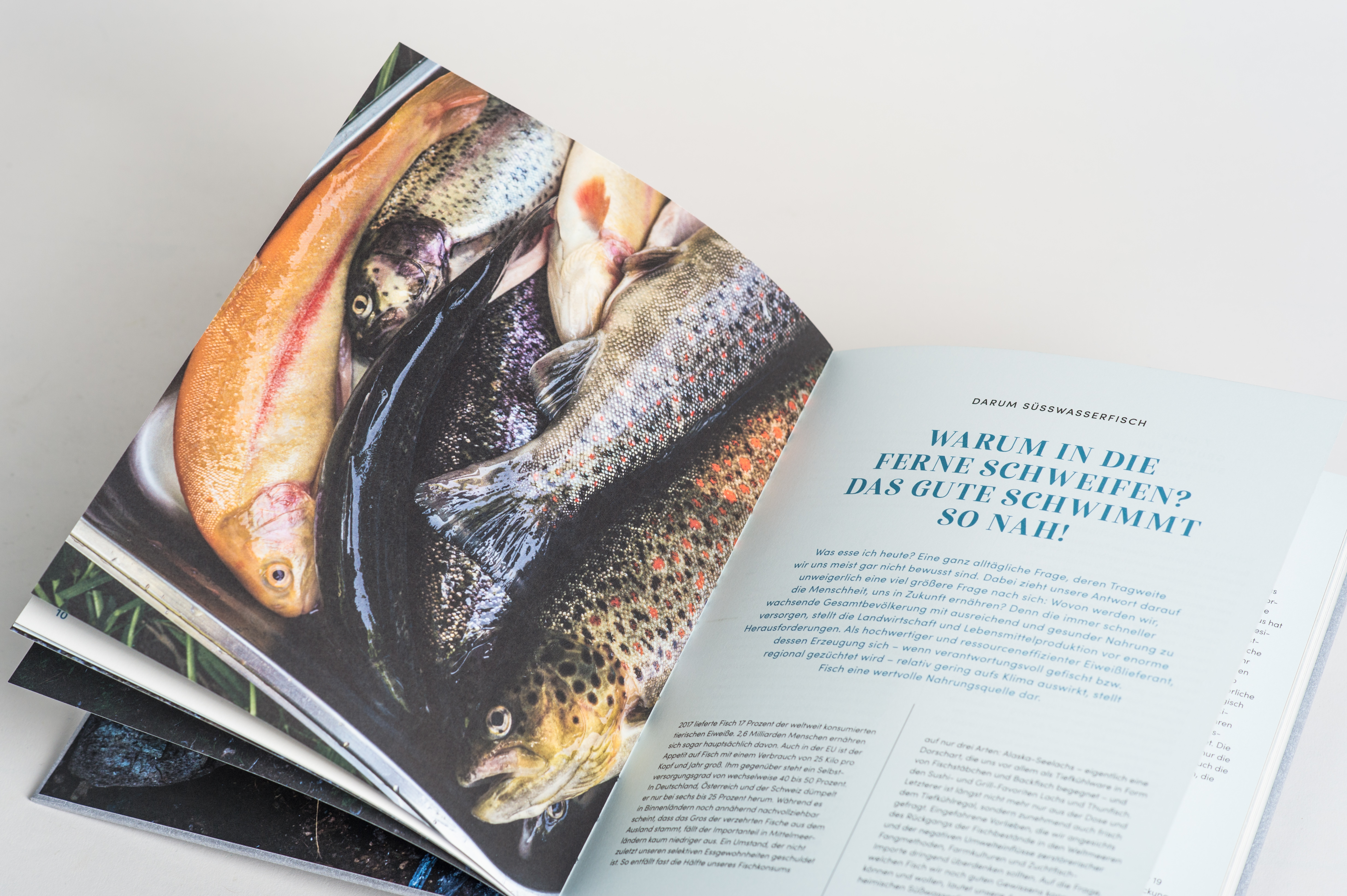 9783517100388_innenansicht_16 9783517100388_innenansicht_16.jpg