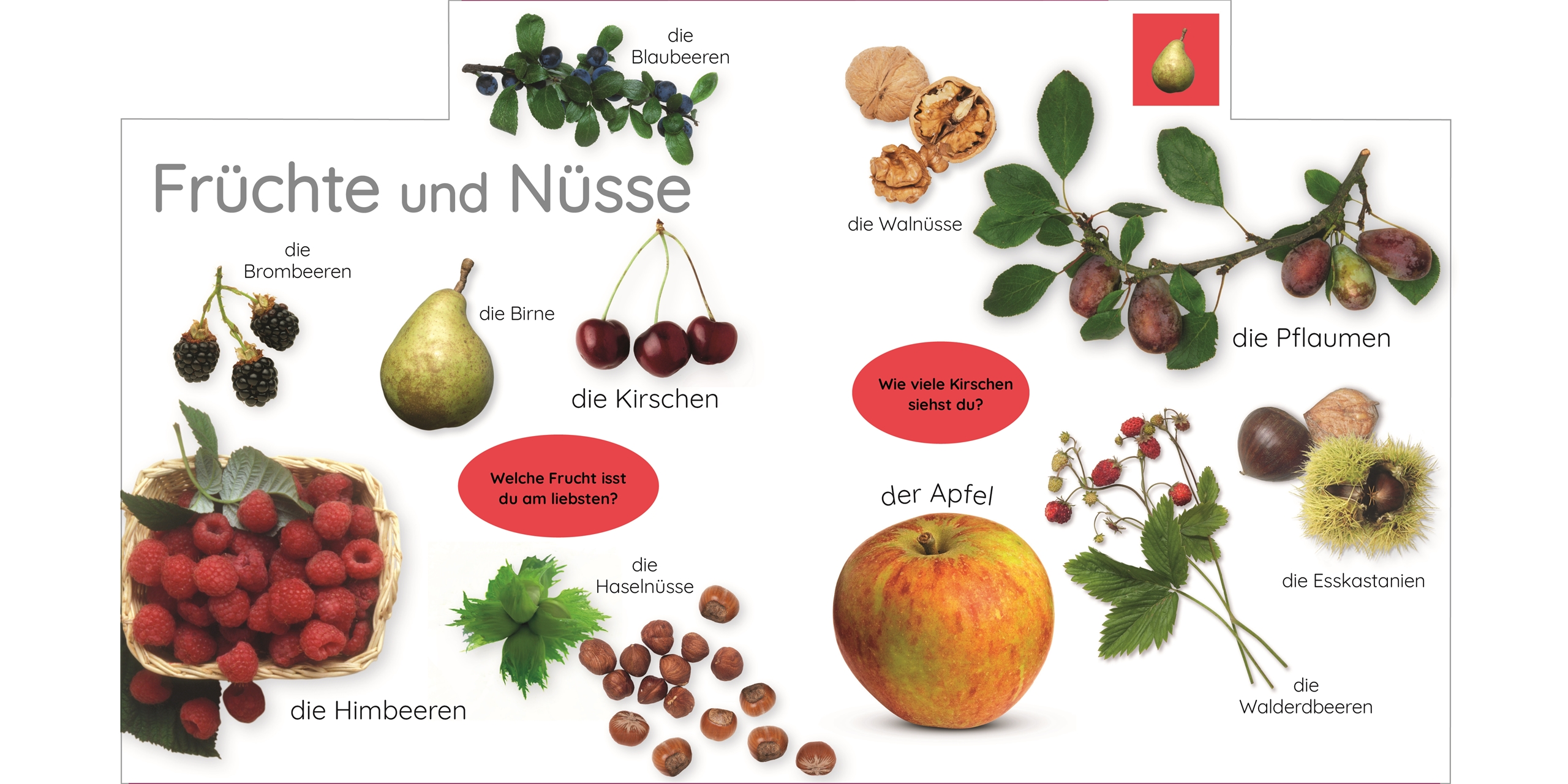 9783831044153_innenansicht_01.jpg
