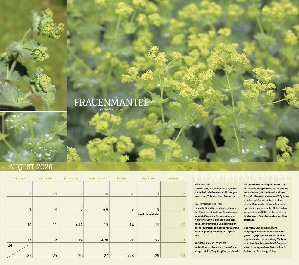 9783861925309_innenansicht_08 9783861925309_innenansicht_08.jpg