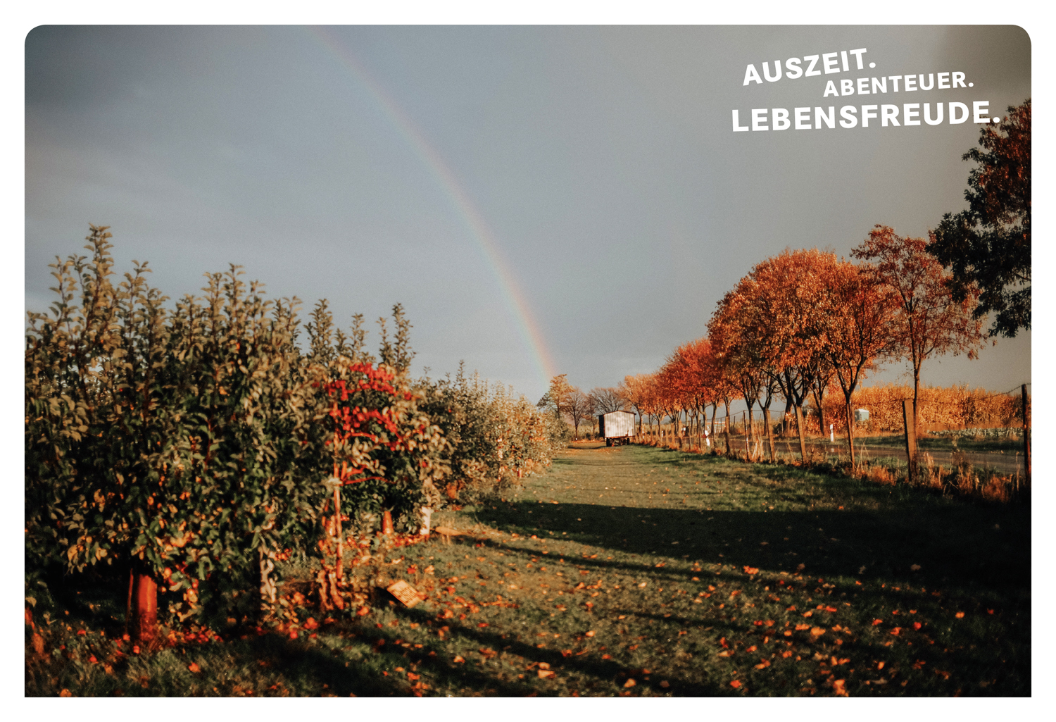 9783616028118_innenansicht_01 9783616028118_innenansicht_01.jpg