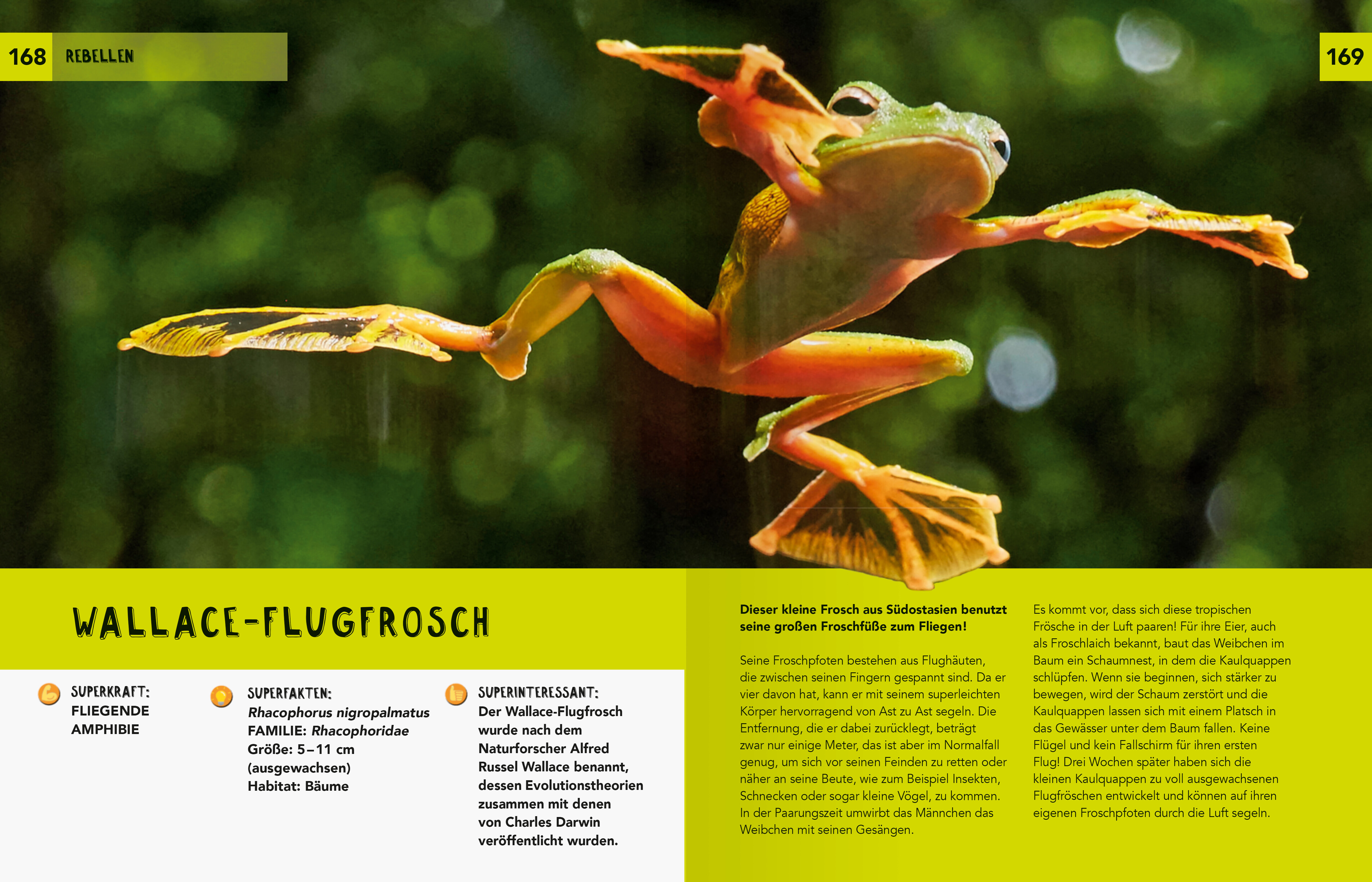 9783473480715_innenansicht_02 9783473480715_innenansicht_02.jpg