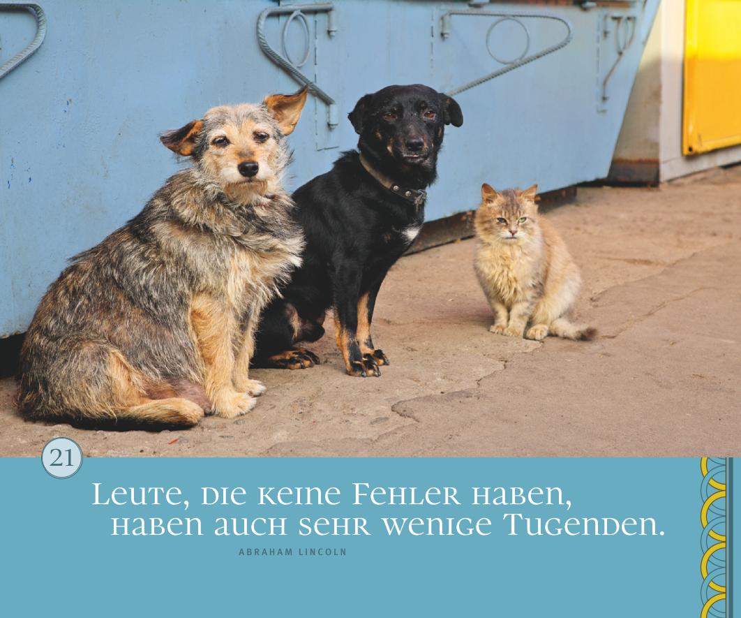 9783833823527_innenansicht_08 9783833823527_innenansicht_08.jpg