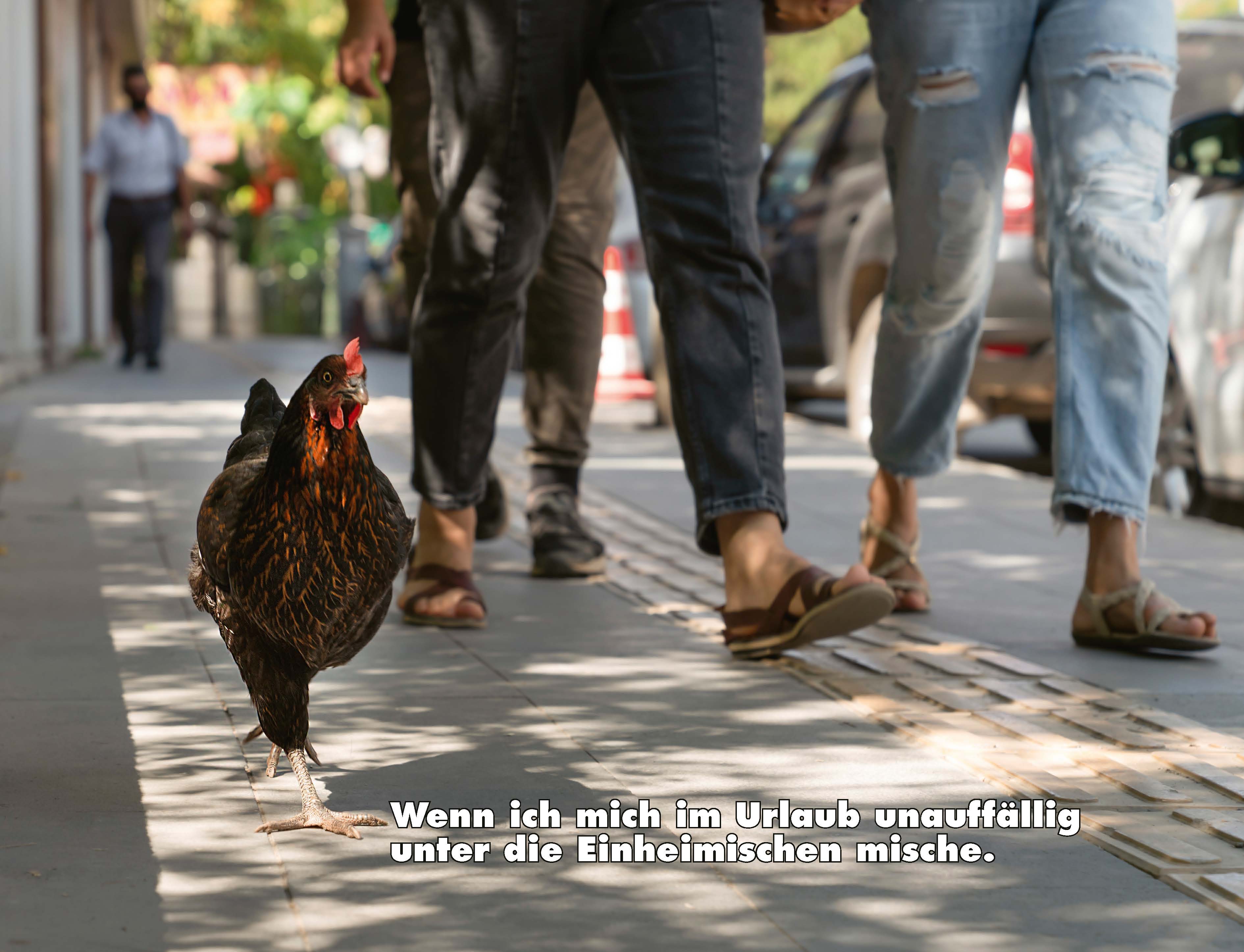 9783966649919_innenansicht_15.jpg