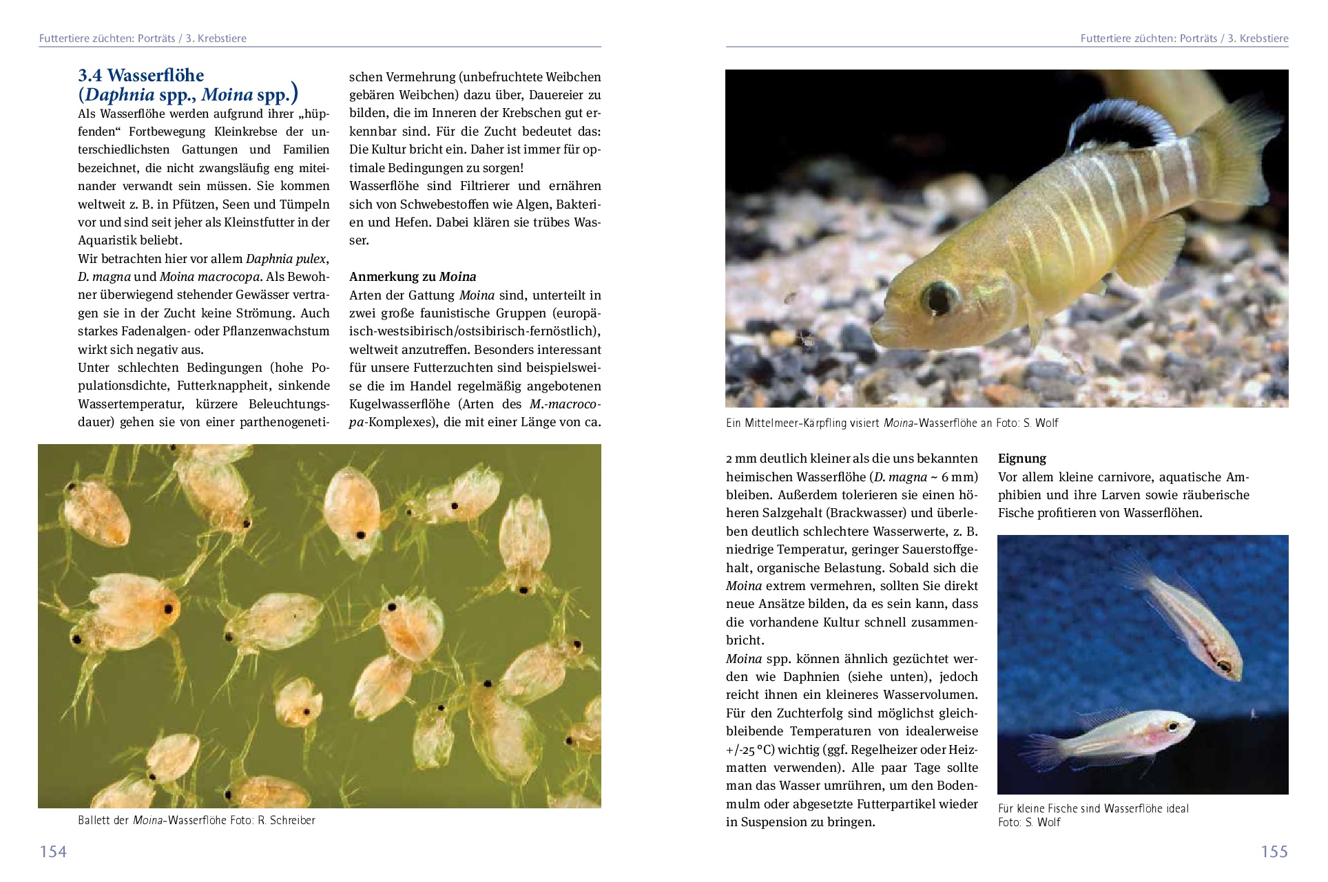 9783866595200_innenansicht_03 9783866595200_innenansicht_03.jpg