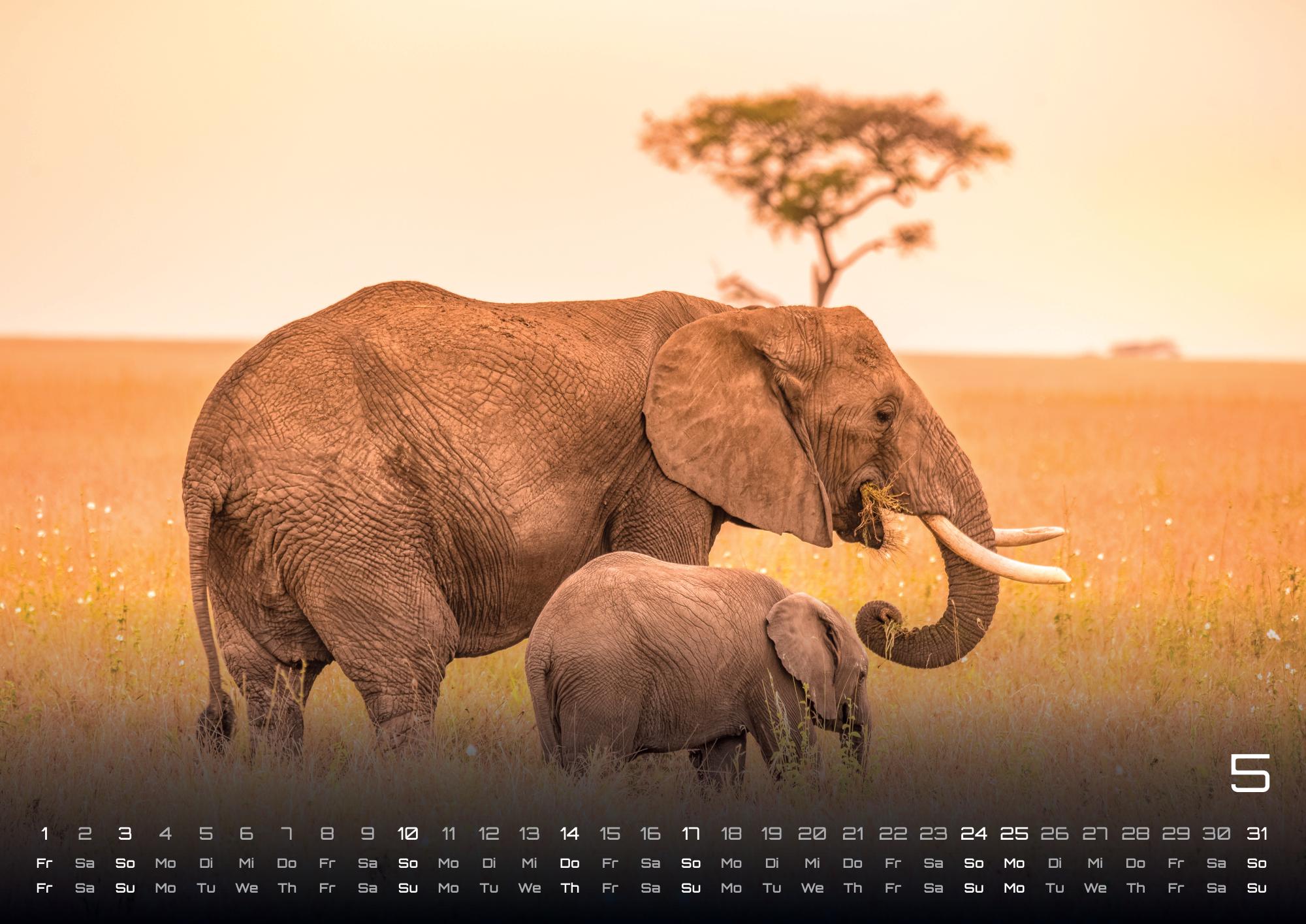 9783986735524_innenansicht_05 9783986735524_innenansicht_05.jpg