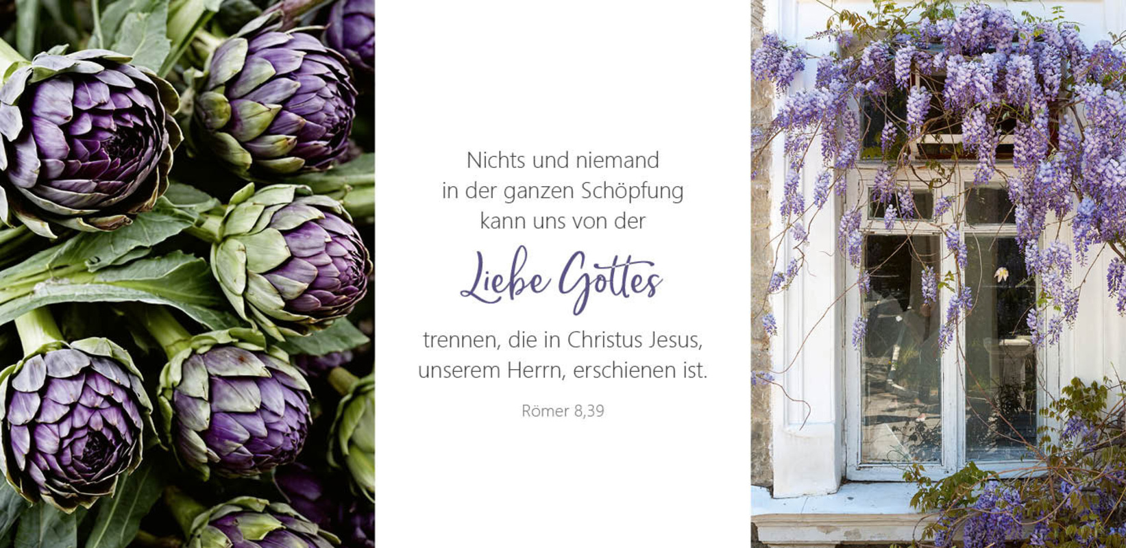 9783986952013_innenansicht_02.jpg
