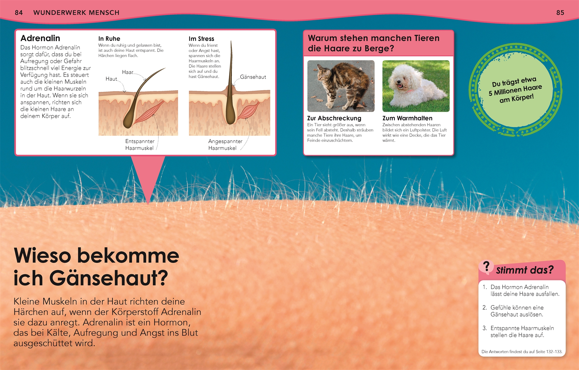 9783831042128_innenansicht_04.jpg