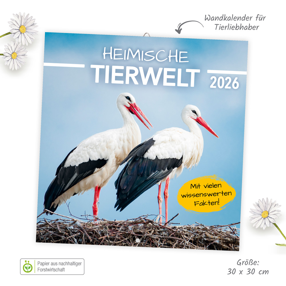 9783988024091_innenansicht_01.jpg