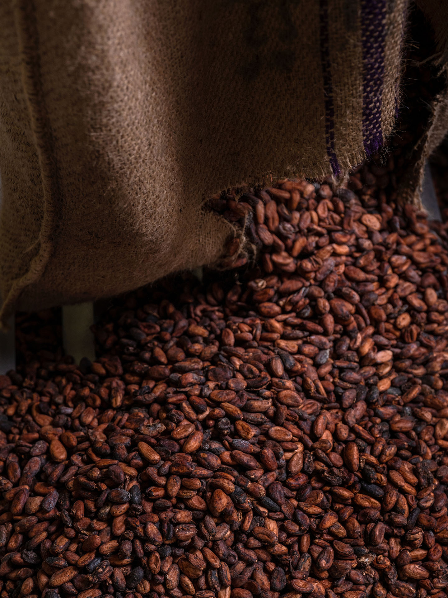 9783039022380_innenansicht_02 9783039022380_innenansicht_02.jpg