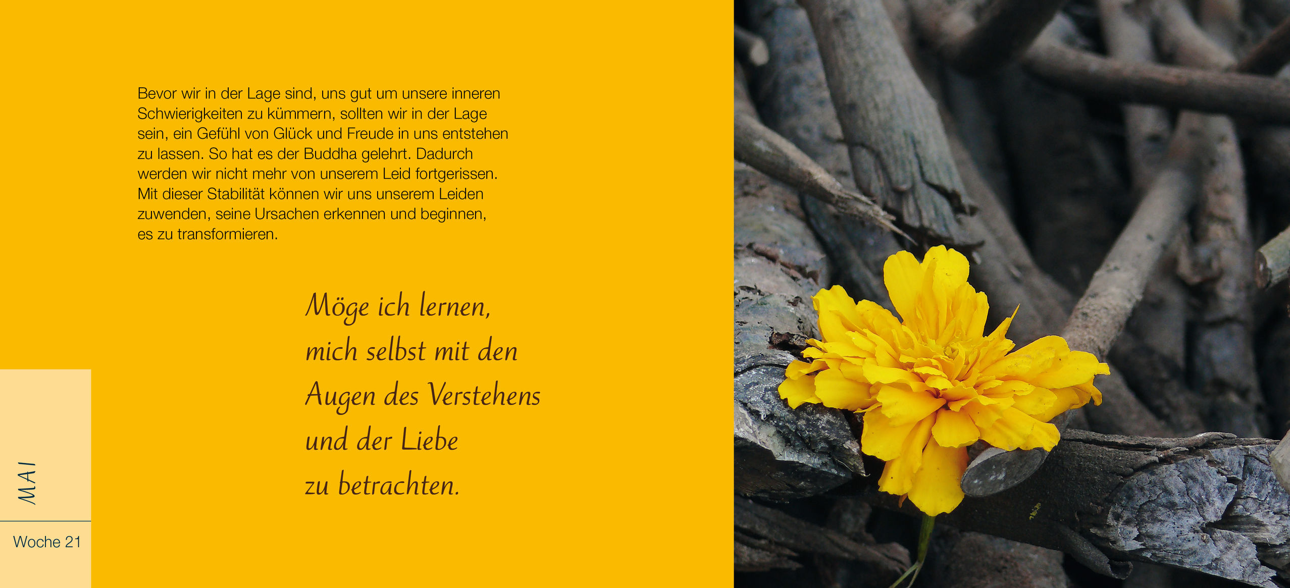 9783466347551_innenansicht_04.jpg