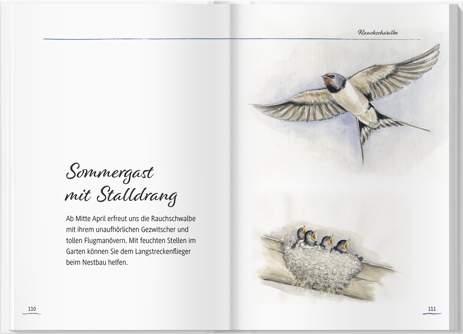 9783784357348_innenansicht_08 9783784357348_innenansicht_08.jpg