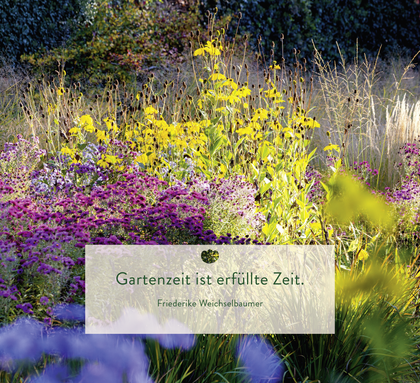 9783848502905_innenansicht_04 9783848502905_innenansicht_04.png