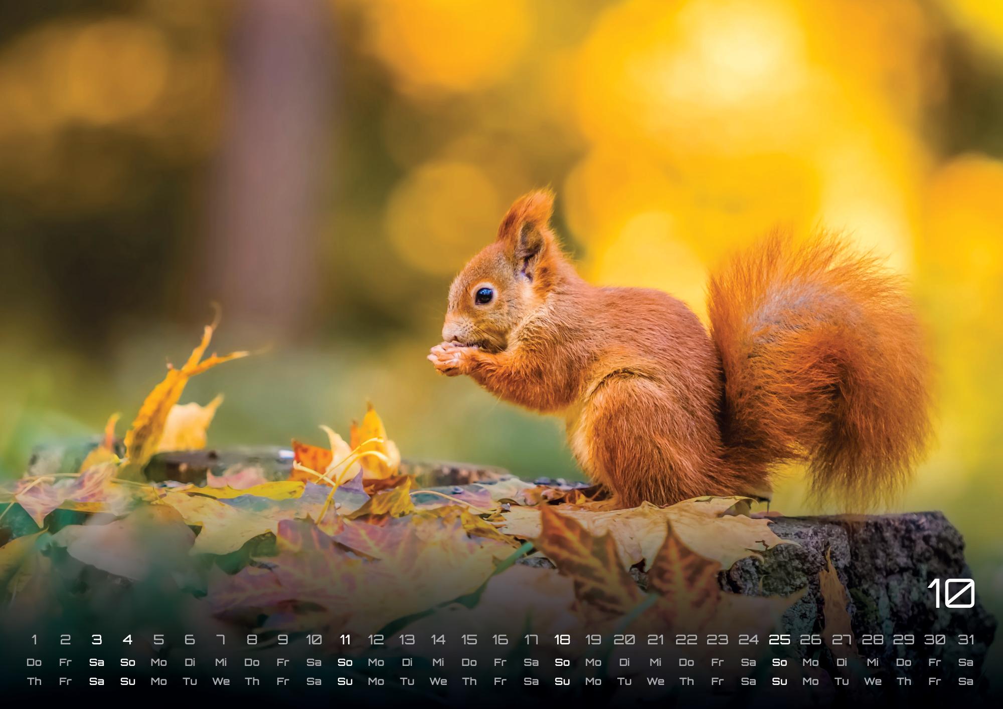 9783986736033_innenansicht_10 9783986736033_innenansicht_10.jpg