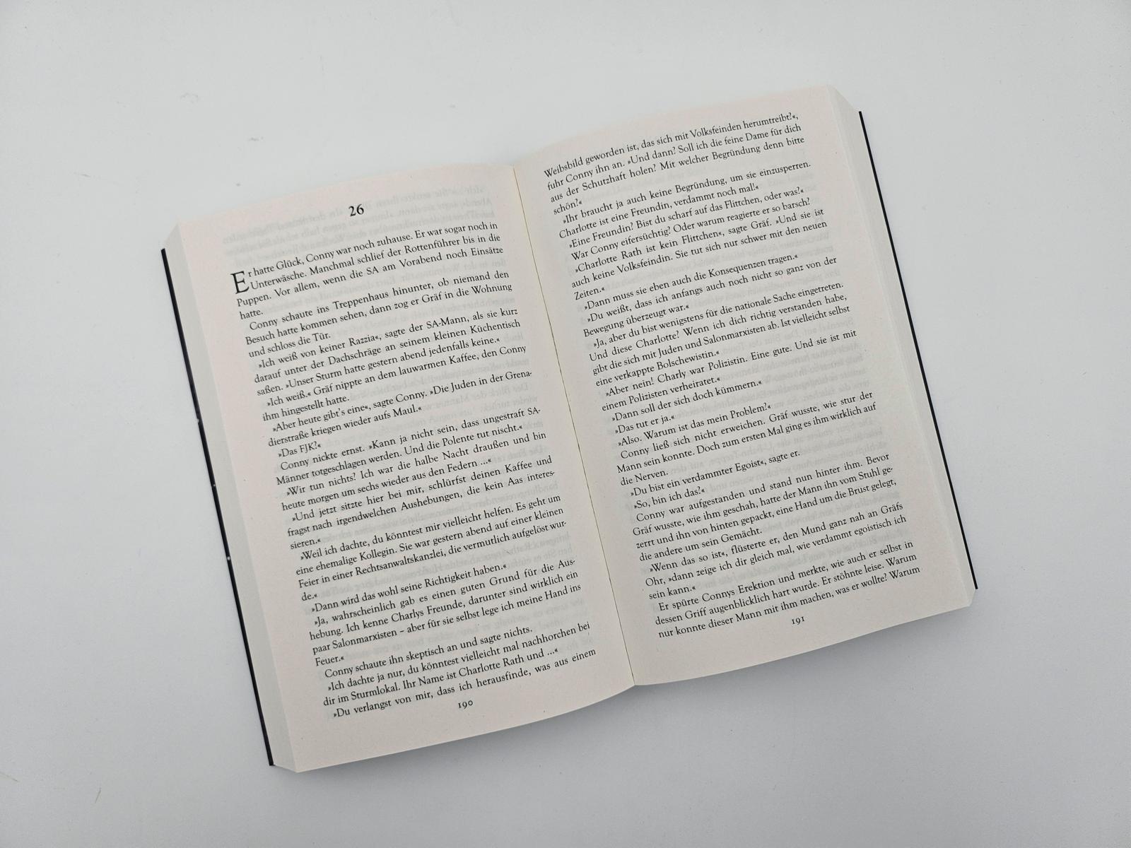 9783492320269_innenansicht_06 9783492320269_innenansicht_06.jpg