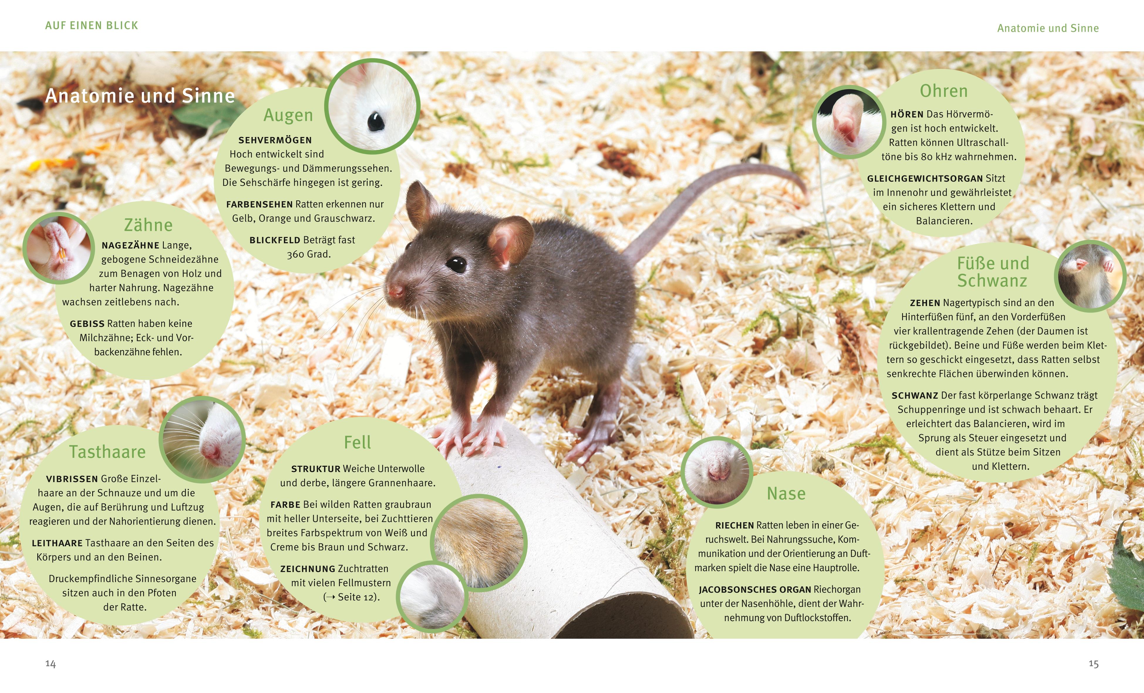 9783833855078_innenansicht_03 9783833855078_innenansicht_03.jpg