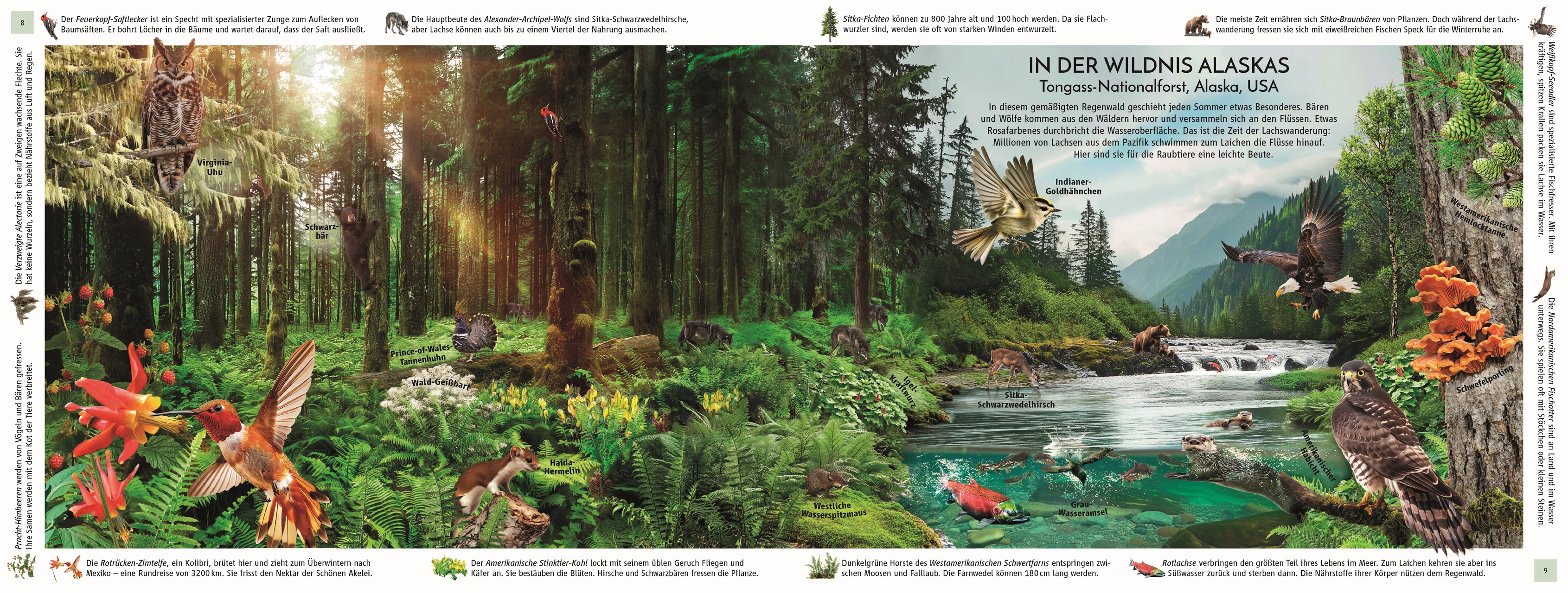 9783831051458_innenansicht_03 9783831051458_innenansicht_03.jpg