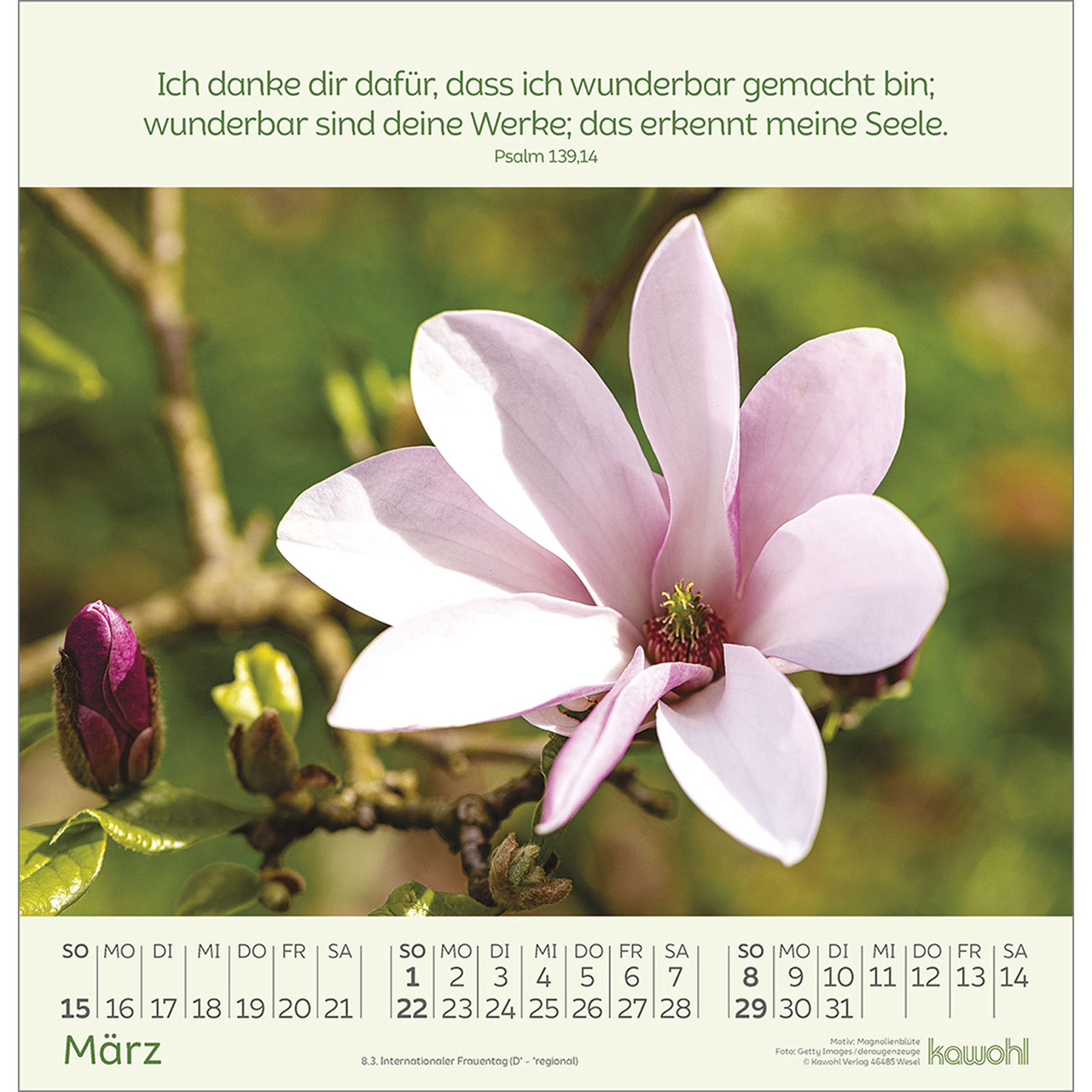 9783754826065_innenansicht_03.jpg