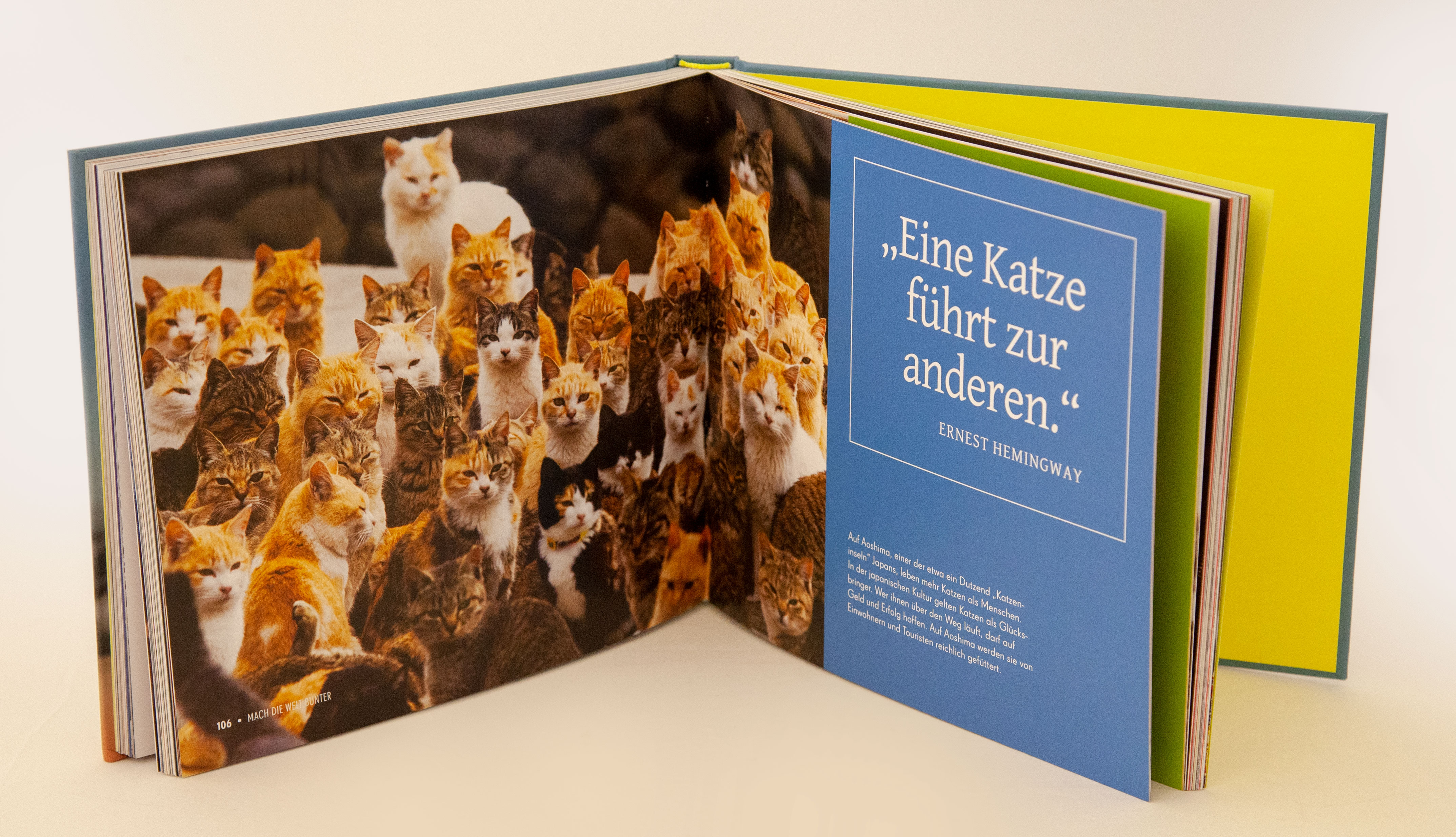 9783431041057_innenansicht_04 9783431041057_innenansicht_04.jpg