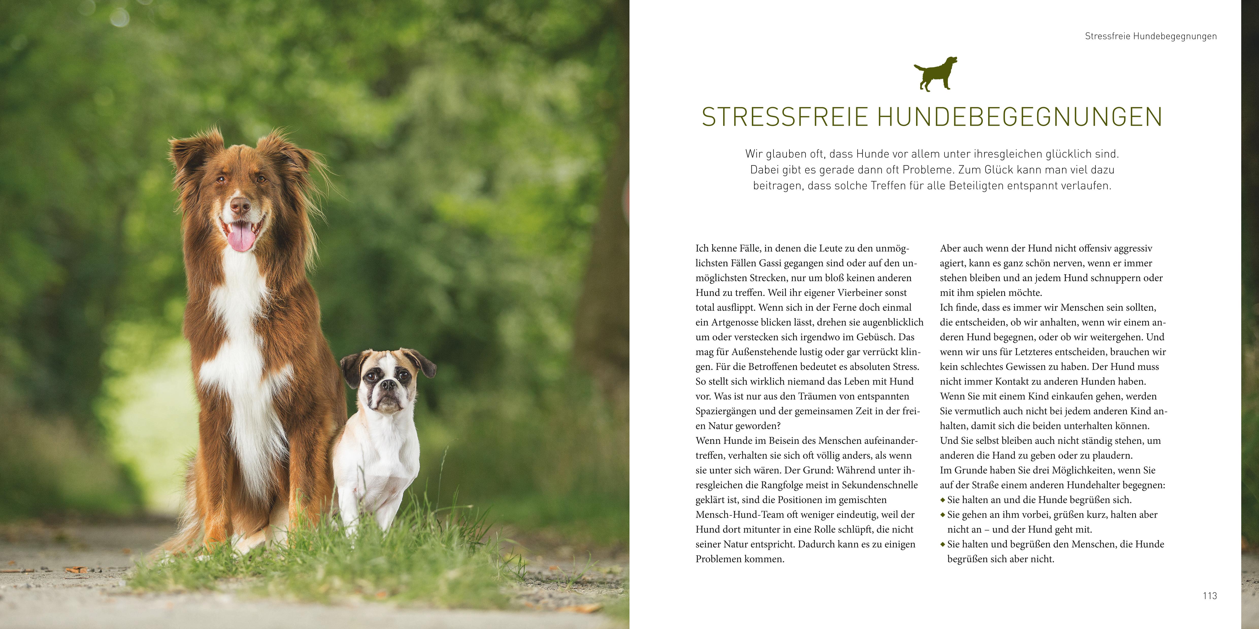 9783833852220_innenansicht_05 9783833852220_innenansicht_05.jpg