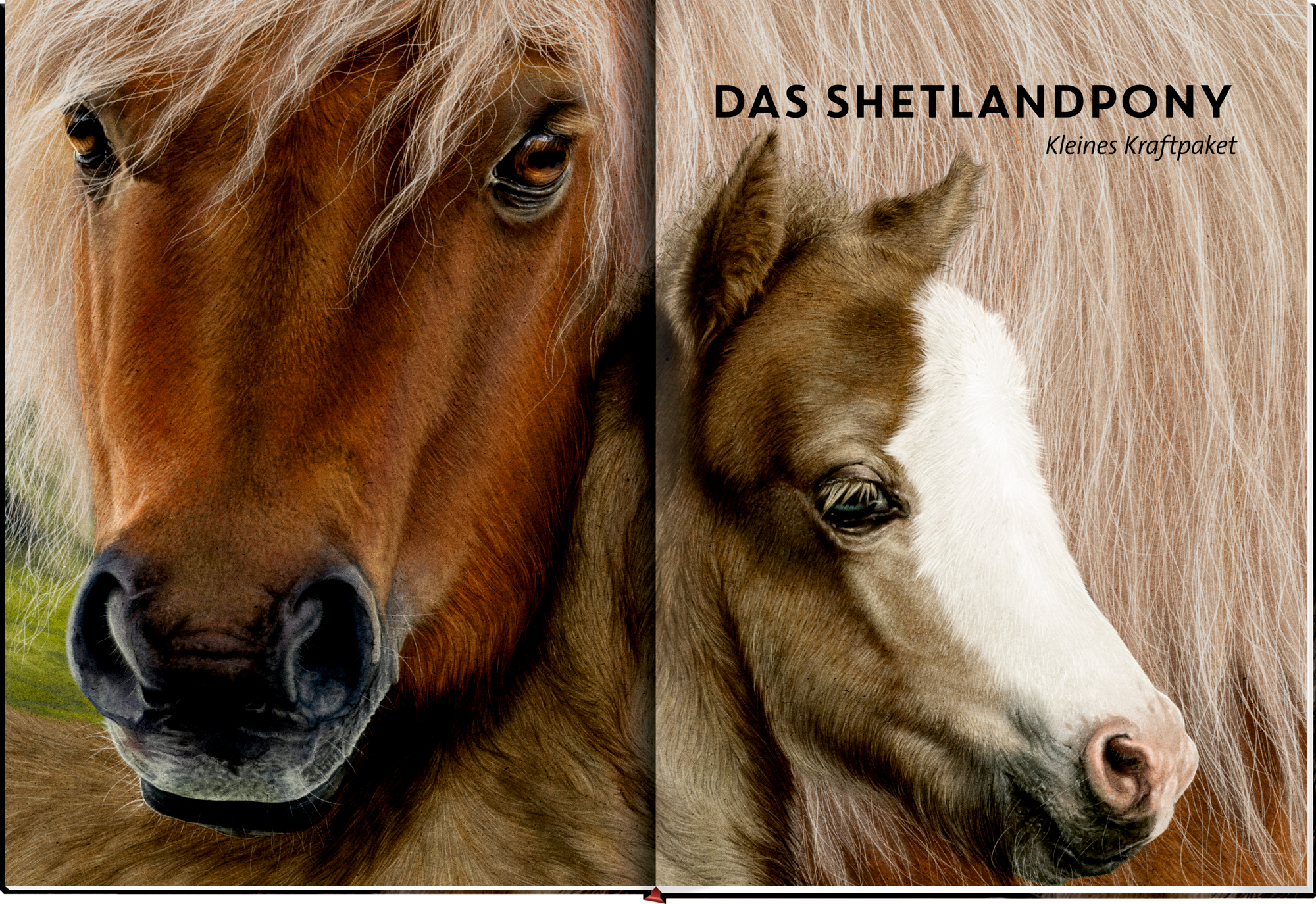 9783649646495_innenansicht_03 9783649646495_innenansicht_03.jpg