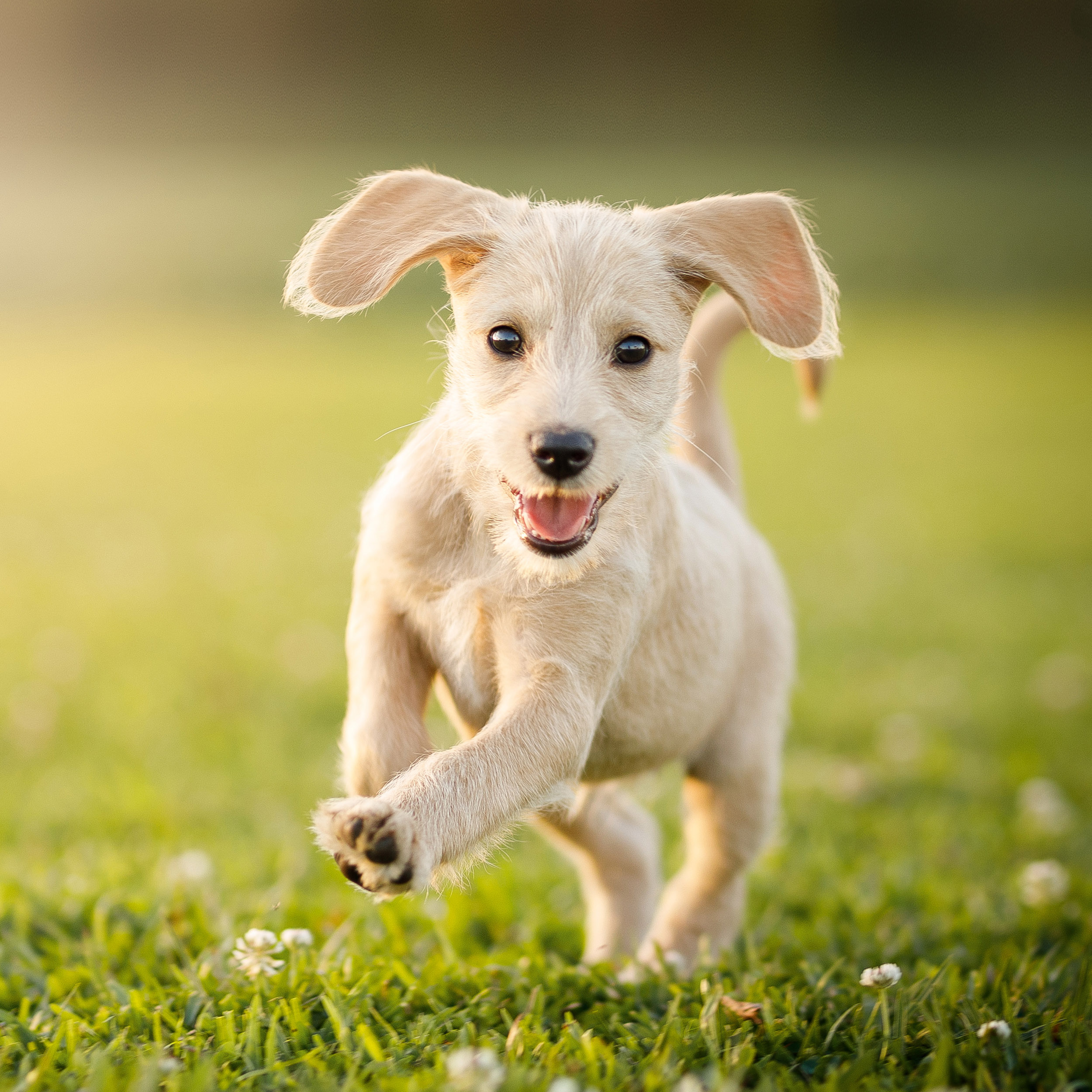 9783959295888_innenansicht_04 9783959295888_innenansicht_04.jpg