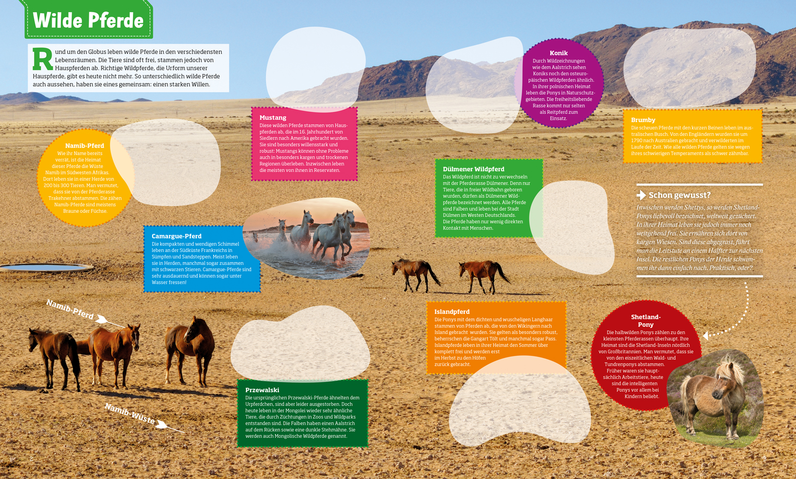 9783788621544_innenansicht_01 9783788621544_innenansicht_01.jpg