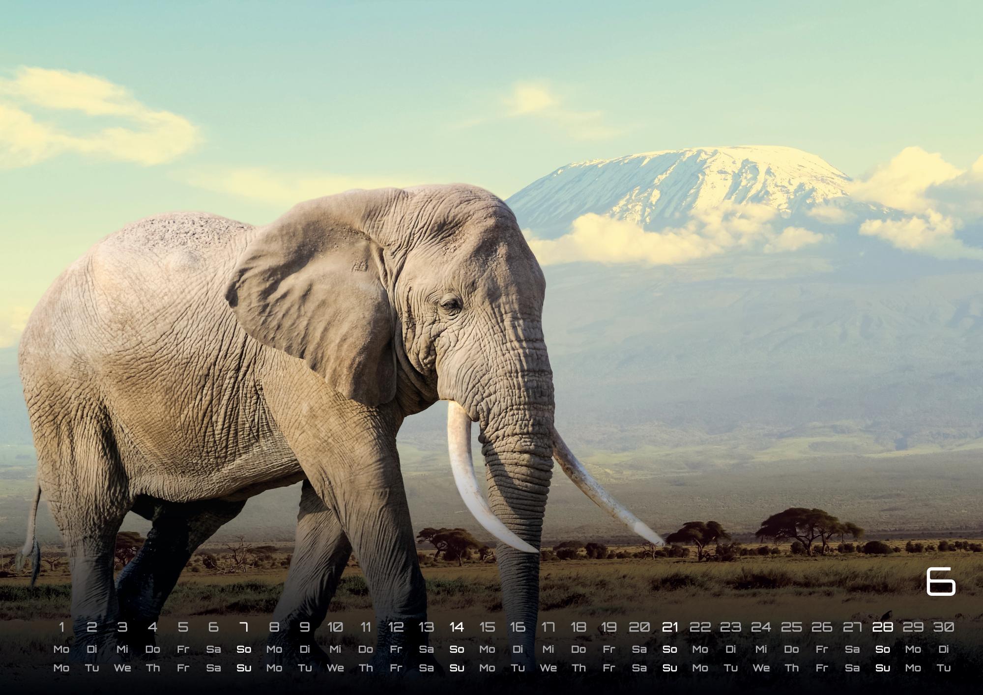 9783986735524_innenansicht_06 9783986735524_innenansicht_06.jpg