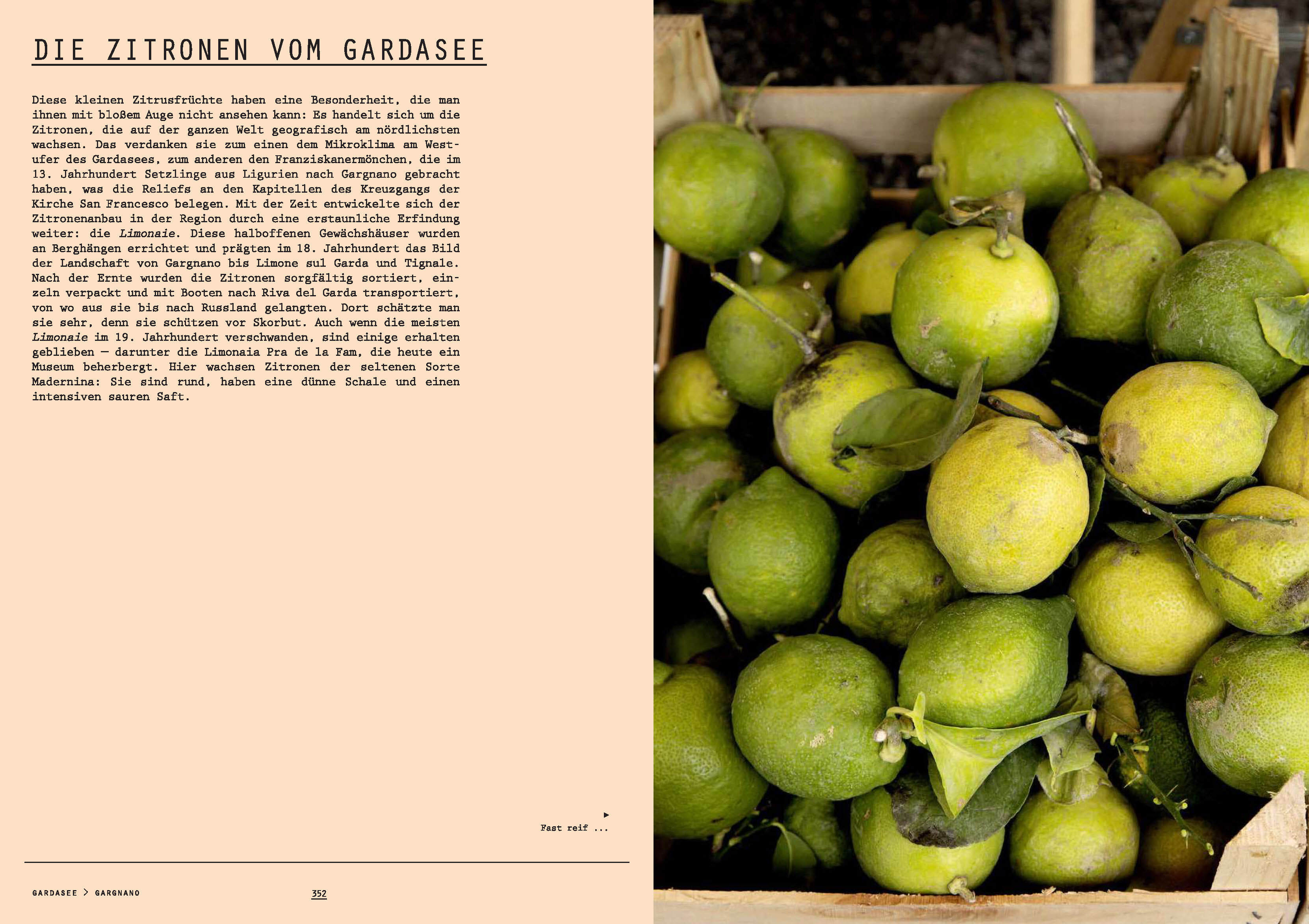 9783791391762_innenansicht_09 9783791391762_innenansicht_09.jpg