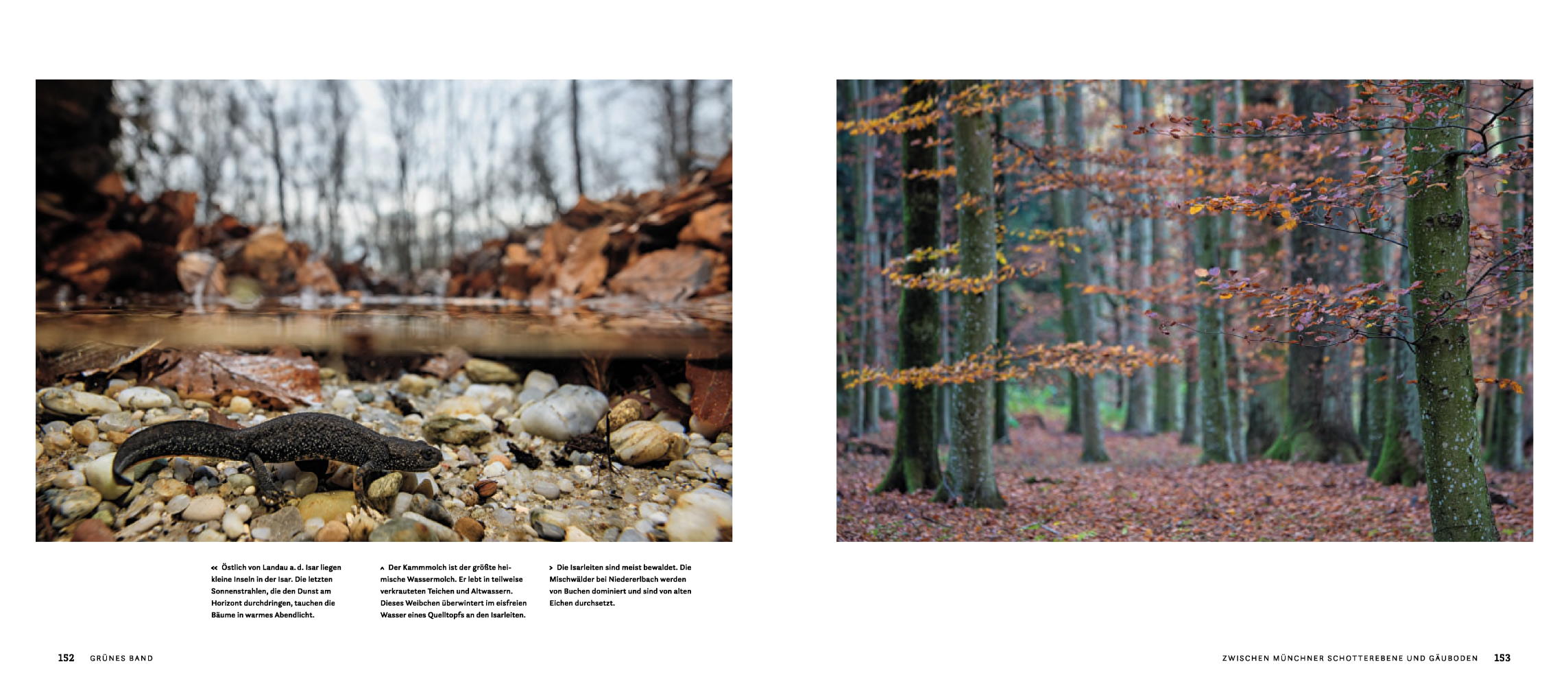 9783957284457_innenansicht_09 9783957284457_innenansicht_09.jpg