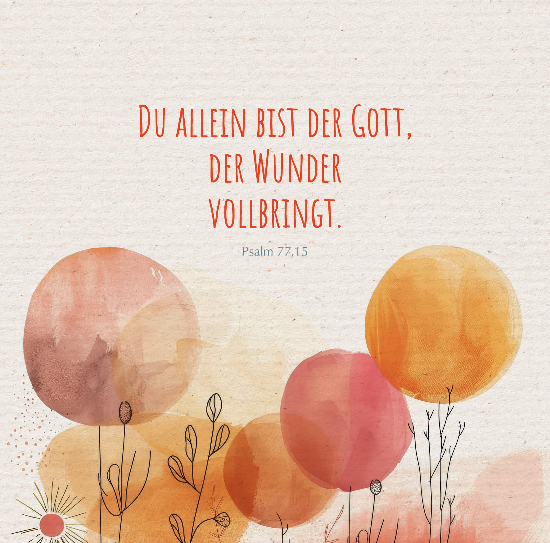 9783766638236_innenansicht_01.jpg