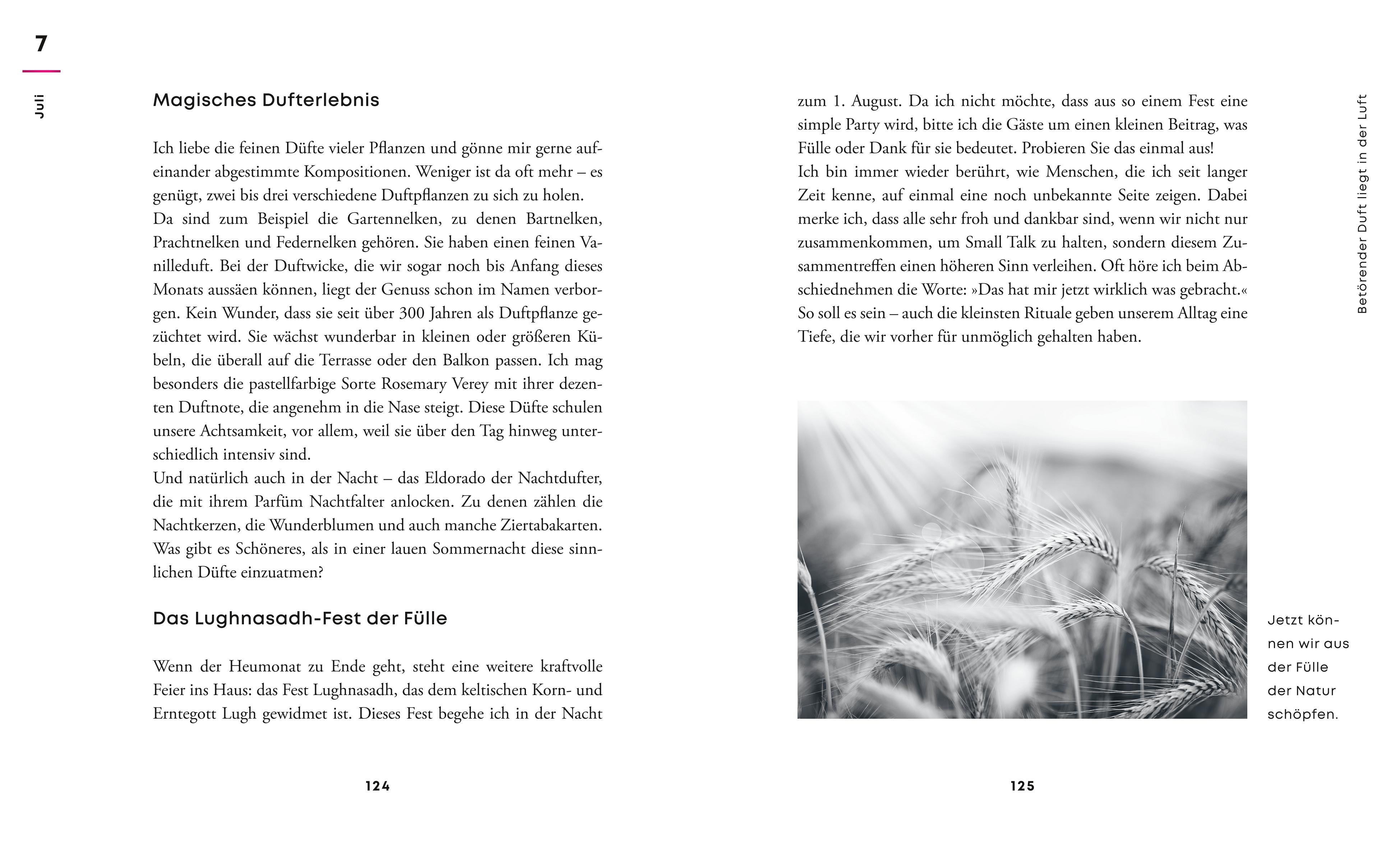 9783833880971_innenansicht_06 9783833880971_innenansicht_06.jpg