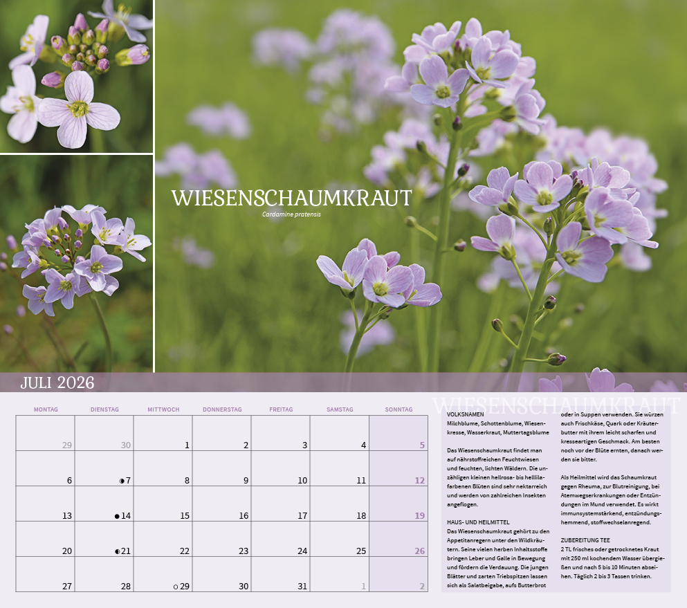 9783861925309_innenansicht_07 9783861925309_innenansicht_07.jpg