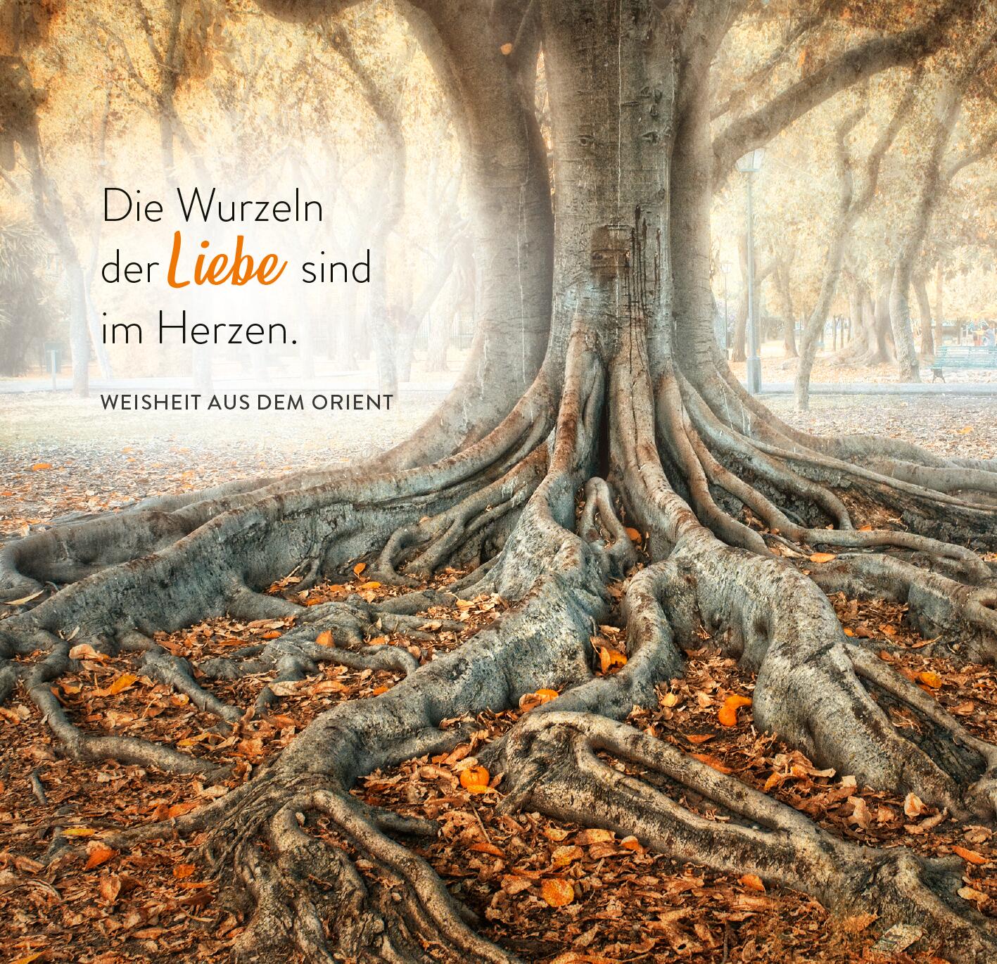 9783845862613_innenansicht_01.jpg
