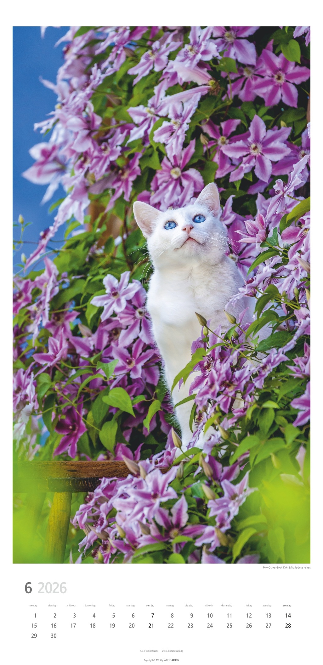 9783839903025_innenansicht_06 9783839903025_innenansicht_06.jpg