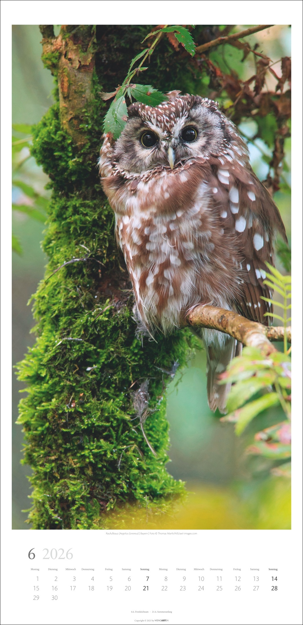 9783839902189_innenansicht_06 9783839902189_innenansicht_06.jpg