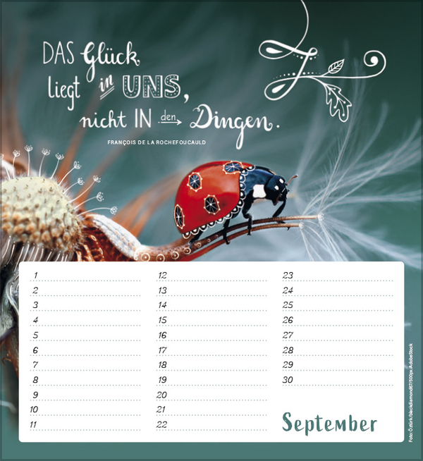 9783731880516_innenansicht_09 9783731880516_innenansicht_09.jpg