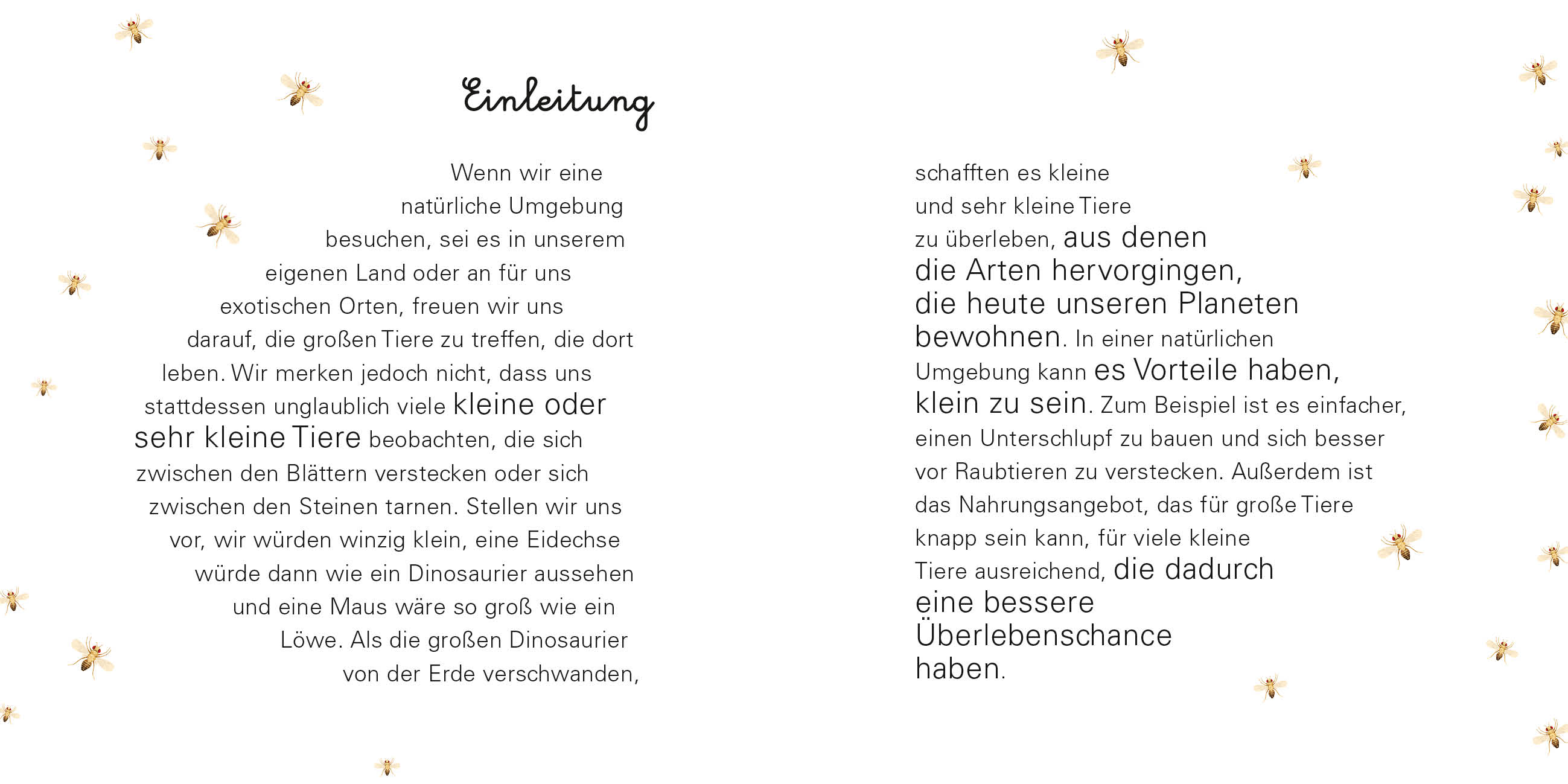 9788863125597_innenansicht_07 9788863125597_innenansicht_07.jpg