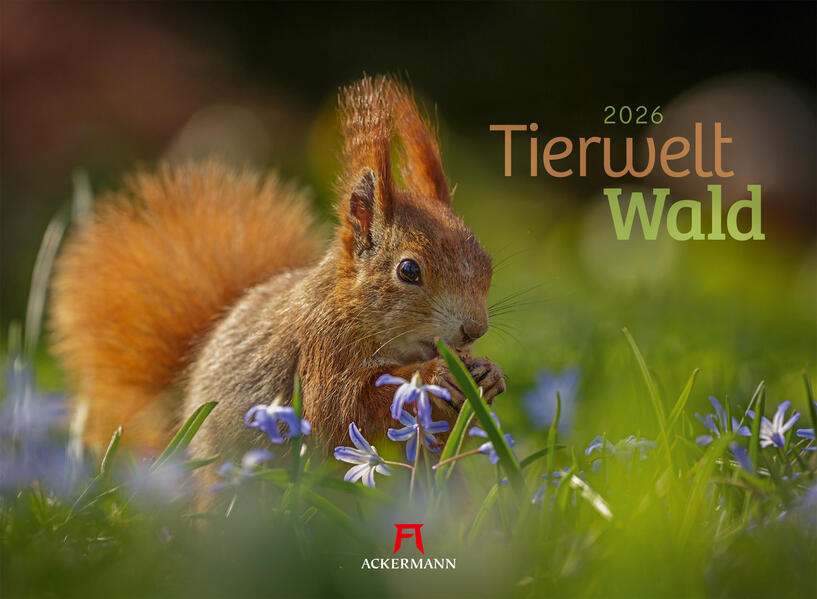 9783838426822 9783838426822