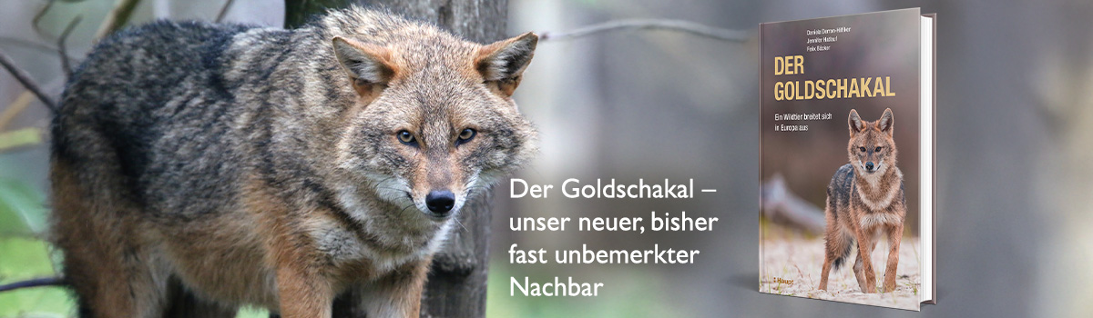 9783258084152_buehnenbild.jpg