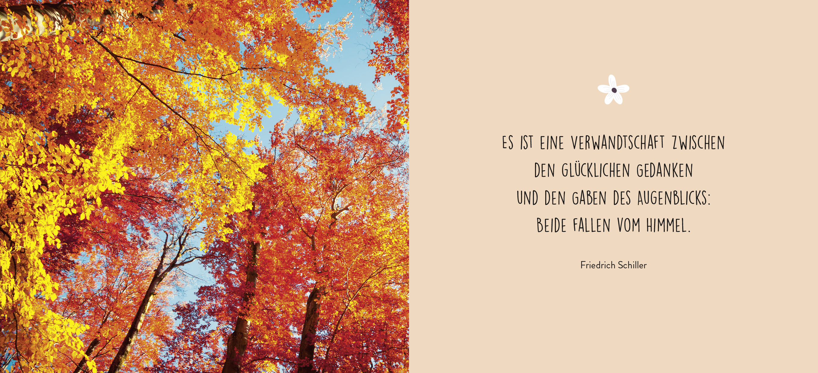 9783848502189_innenansicht_01.jpg
