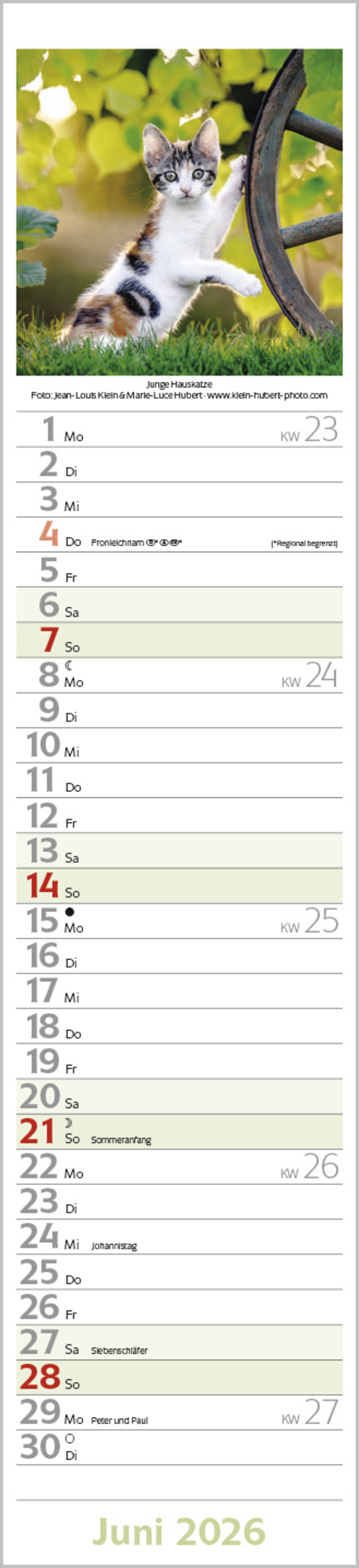 9783731886891_innenansicht_06.jpg