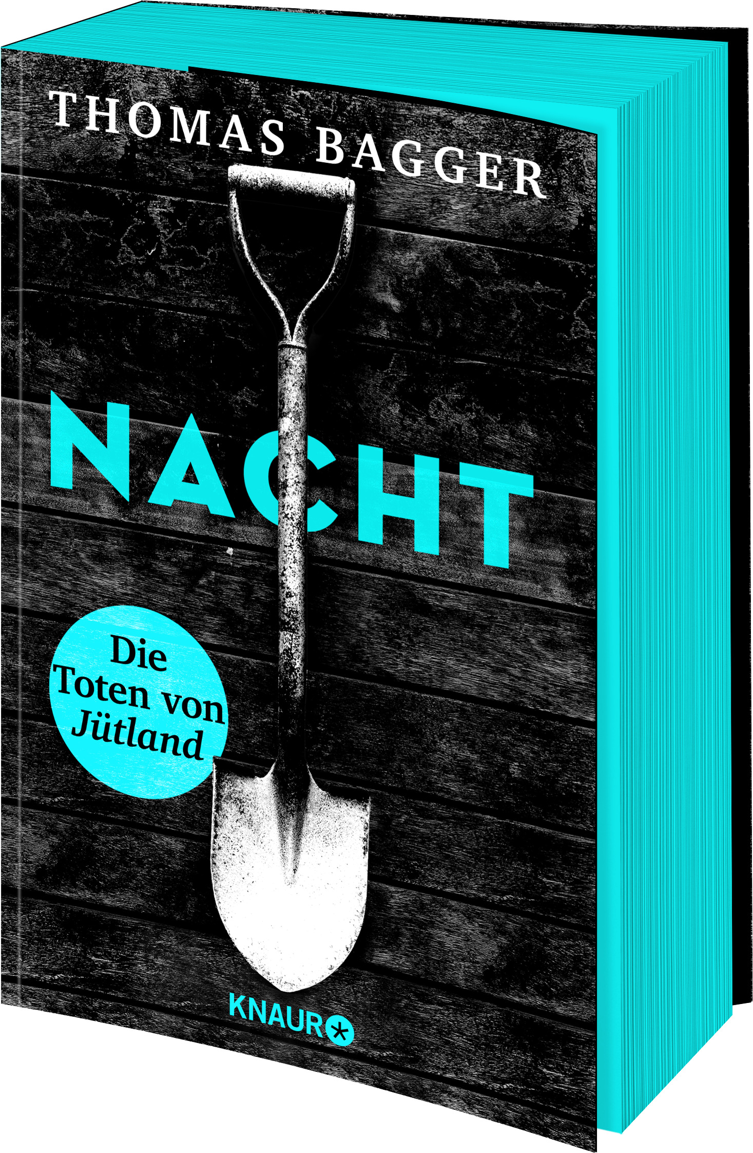 9783426529669_innenansicht_01.jpg