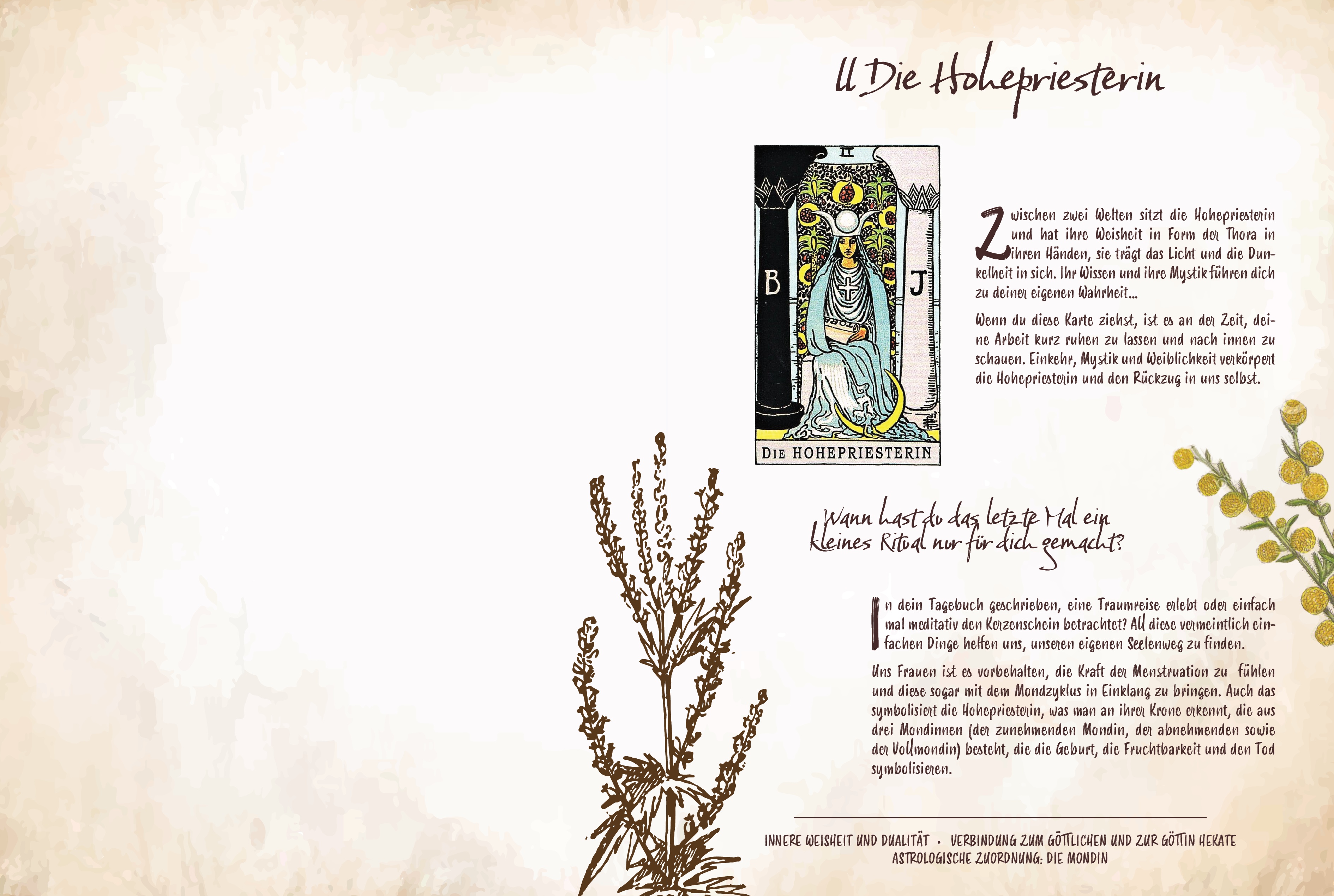 9783868267983_innenansicht_01 9783868267983_innenansicht_01.jpg