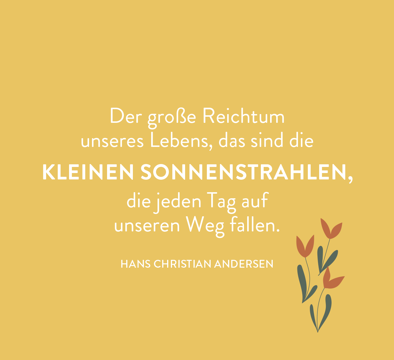 9783848502974_innenansicht_05.png
