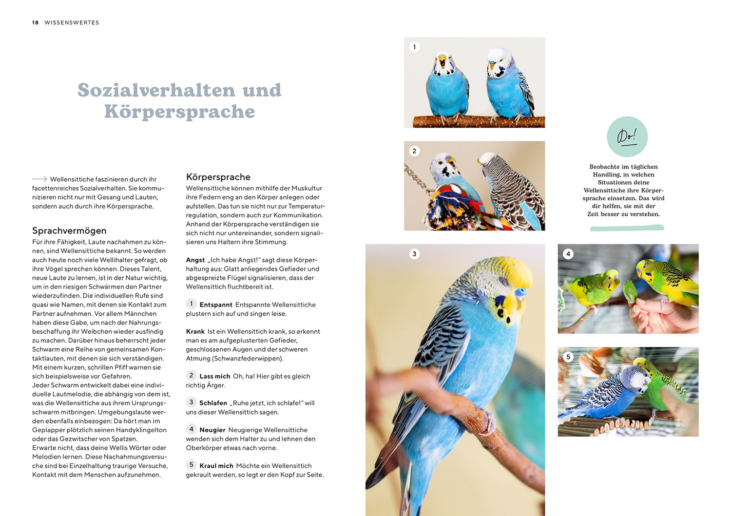 9783440175637_innenansicht_02.jpg