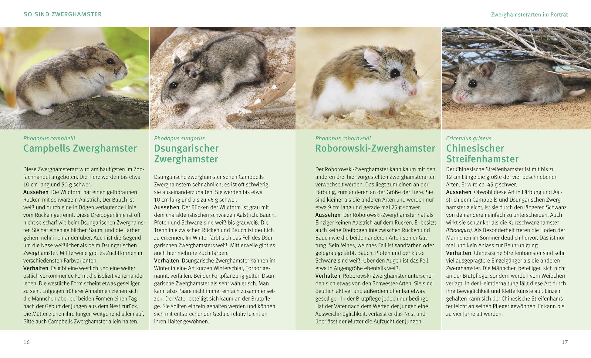 9783833838019_innenansicht_02 9783833838019_innenansicht_02.jpg