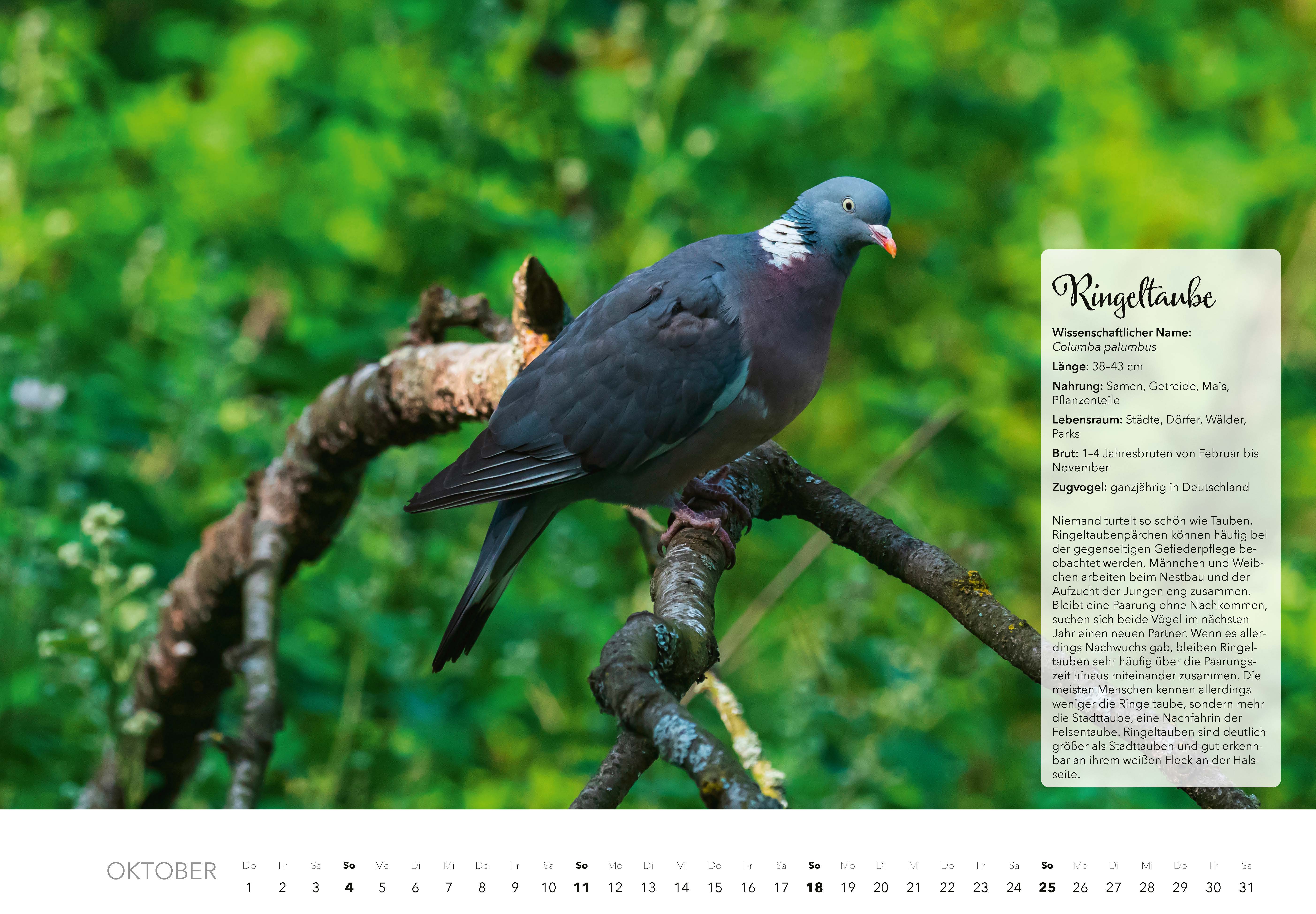 9783966649759_innenansicht_10 9783966649759_innenansicht_10.jpg