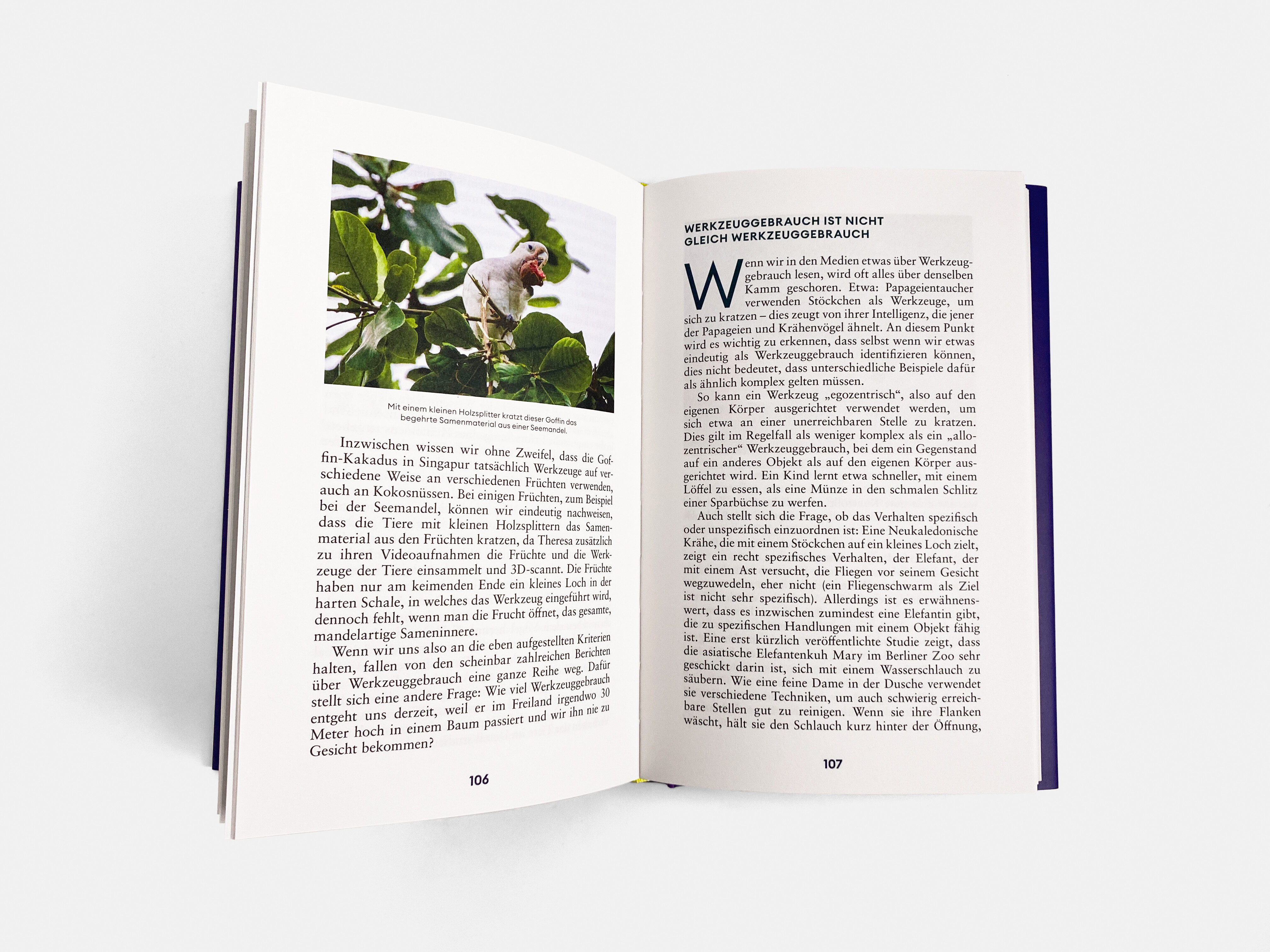 9783710608582_innenansicht_02 9783710608582_innenansicht_02.jpg