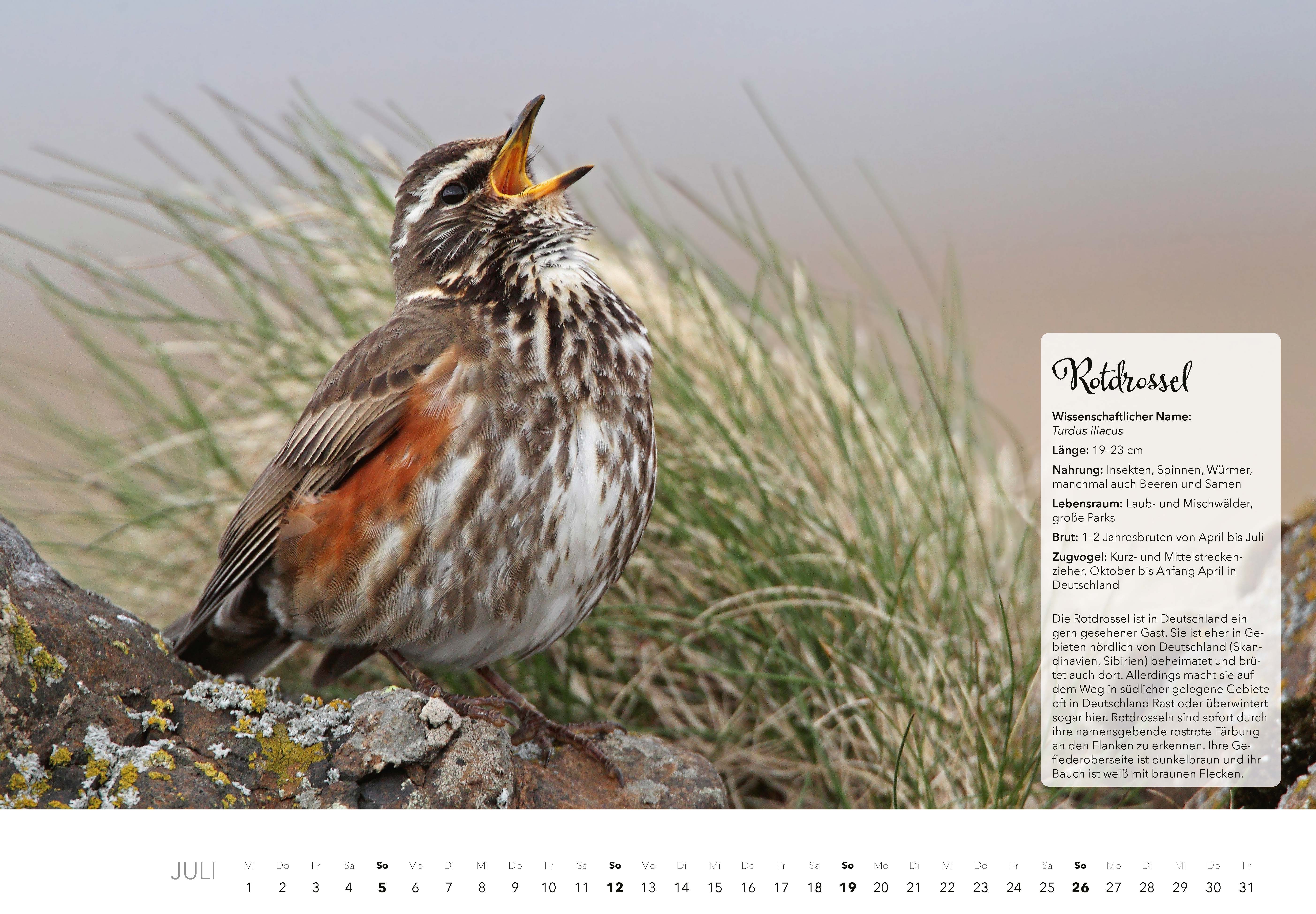 9783966649759_innenansicht_07 9783966649759_innenansicht_07.jpg