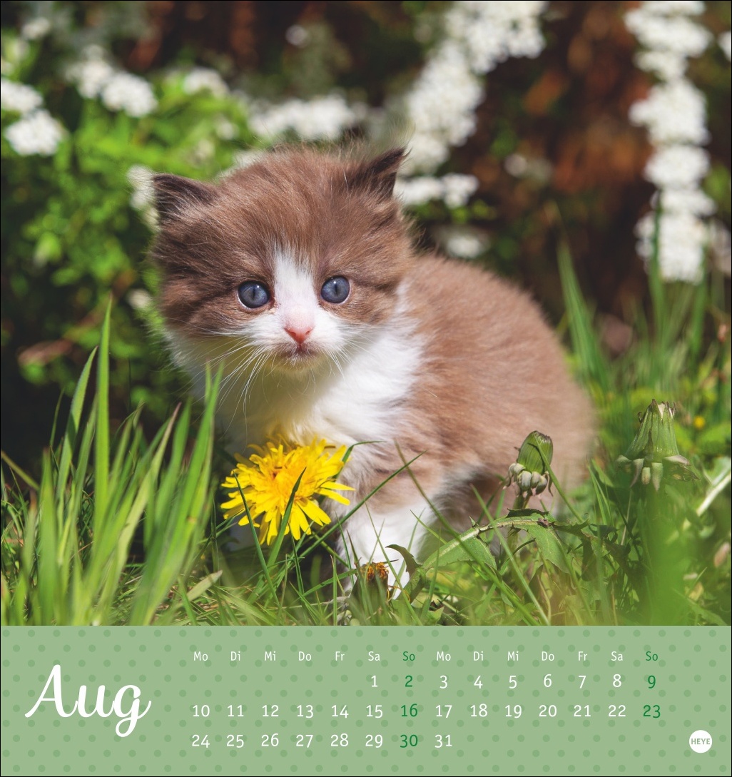 9783756410460_innenansicht_08 9783756410460_innenansicht_08.jpg